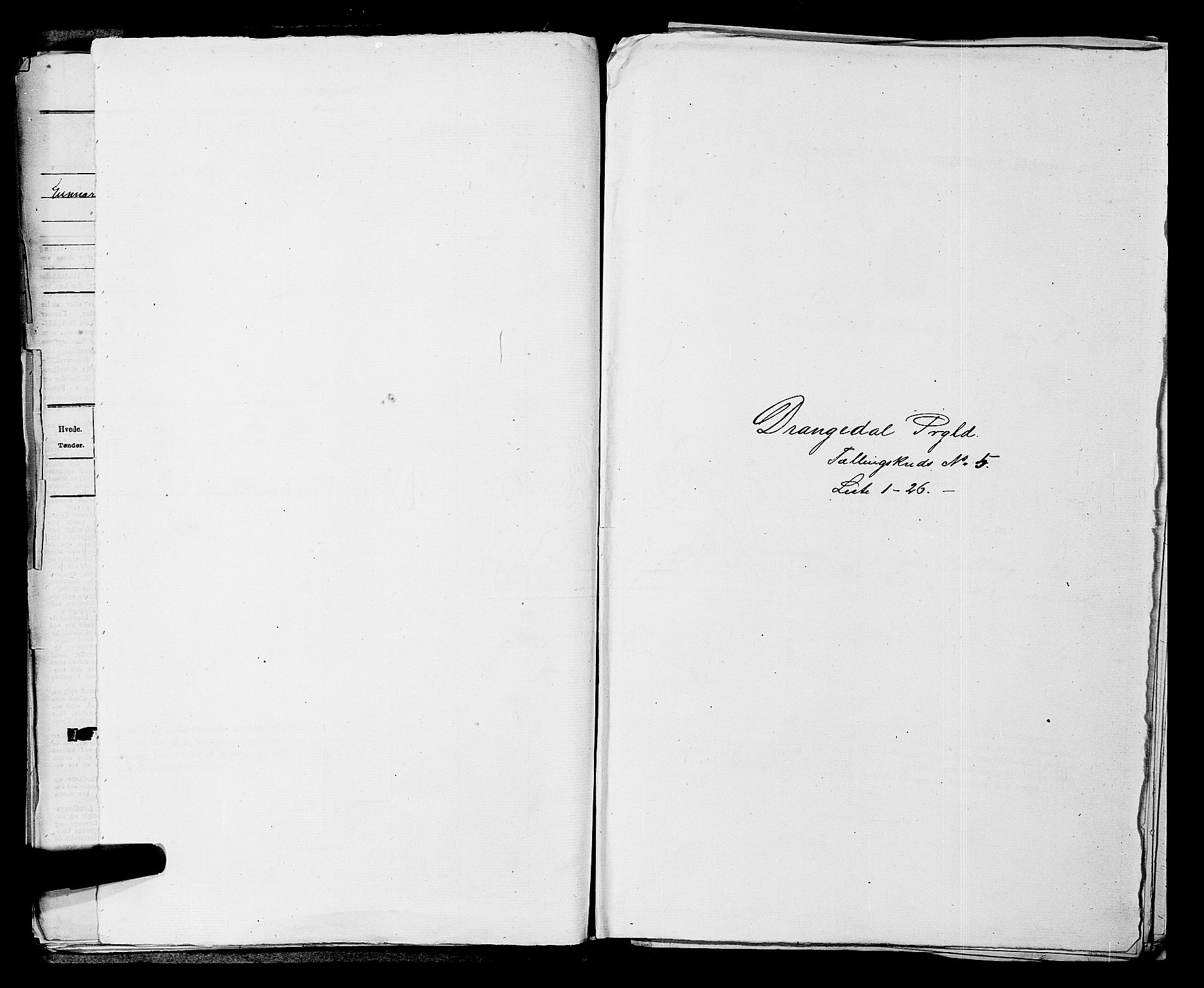 SAKO, Folketelling 1875 for 0817P Drangedal prestegjeld, 1875, s. 484