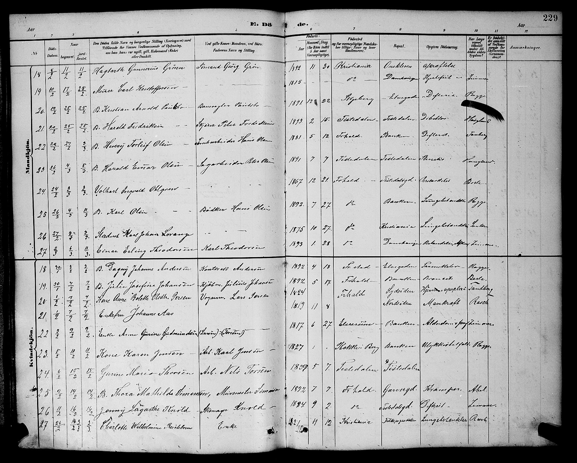 Halden prestekontor Kirkebøker, AV/SAO-A-10909/G/Ga/L0009: Klokkerbok nr. 9, 1885-1908, s. 229