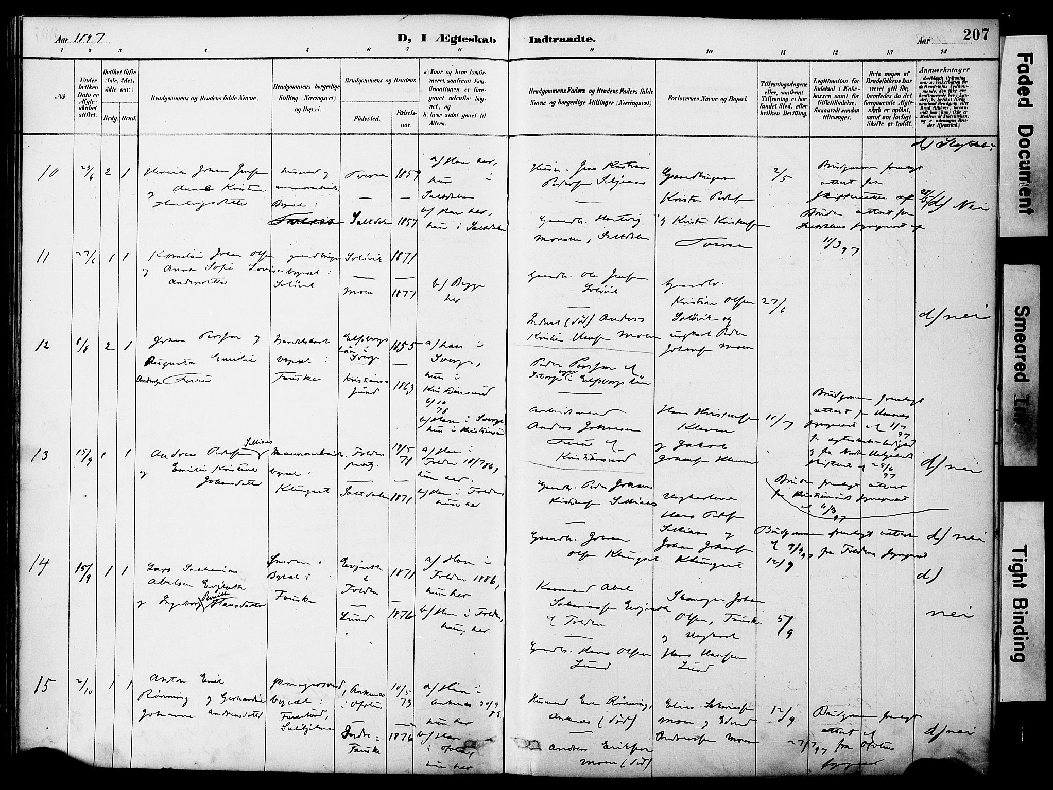 Ministerialprotokoller, klokkerbøker og fødselsregistre - Nordland, AV/SAT-A-1459/849/L0690: Ministerialbok nr. 849A02, 1890-1897, s. 207