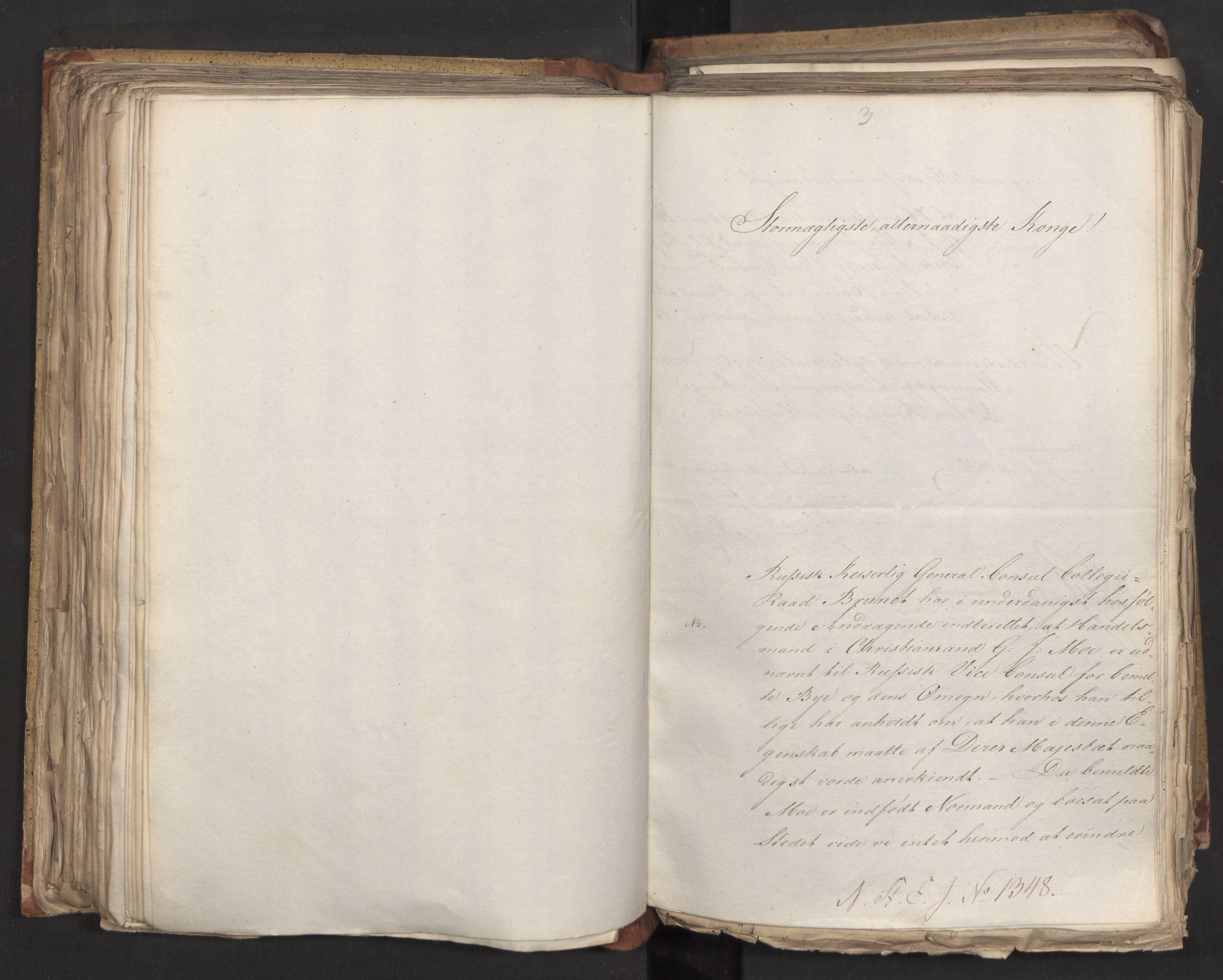 Statsrådsavdelingen i Stockholm, RA/S-1003/D/Da/L0006: Regjeringsinnstillinger nr. 1247-1544, 1816, s. 205