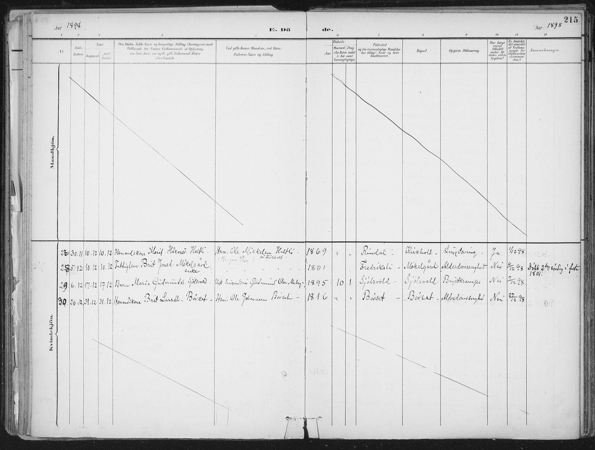 Ministerialprotokoller, klokkerbøker og fødselsregistre - Møre og Romsdal, AV/SAT-A-1454/598/L1072: Ministerialbok nr. 598A06, 1896-1910, s. 215