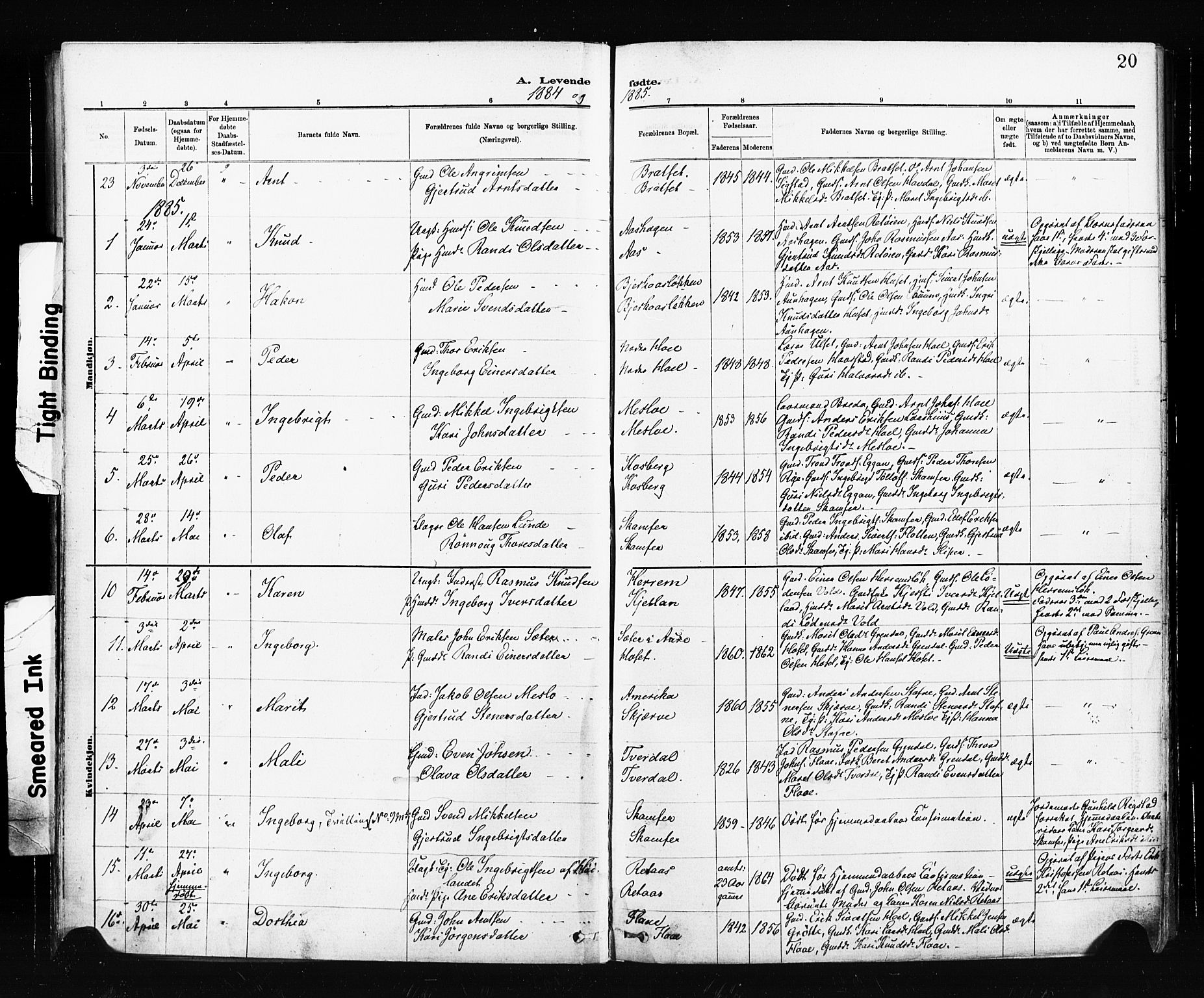 Ministerialprotokoller, klokkerbøker og fødselsregistre - Sør-Trøndelag, SAT/A-1456/674/L0871: Ministerialbok nr. 674A03, 1880-1896, s. 20