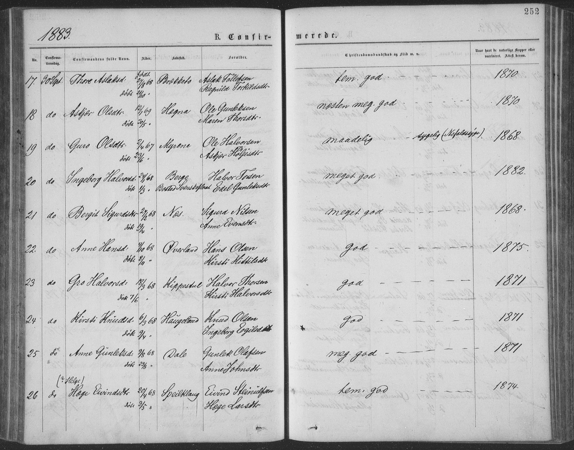 Seljord kirkebøker, AV/SAKO-A-20/F/Fa/L0014: Ministerialbok nr. I 14, 1877-1886, s. 252