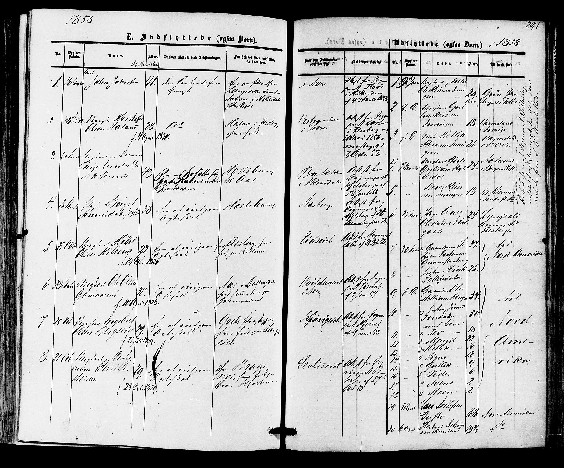 Nore kirkebøker, AV/SAKO-A-238/F/Fa/L0003: Ministerialbok nr. I 3, 1858-1866, s. 291