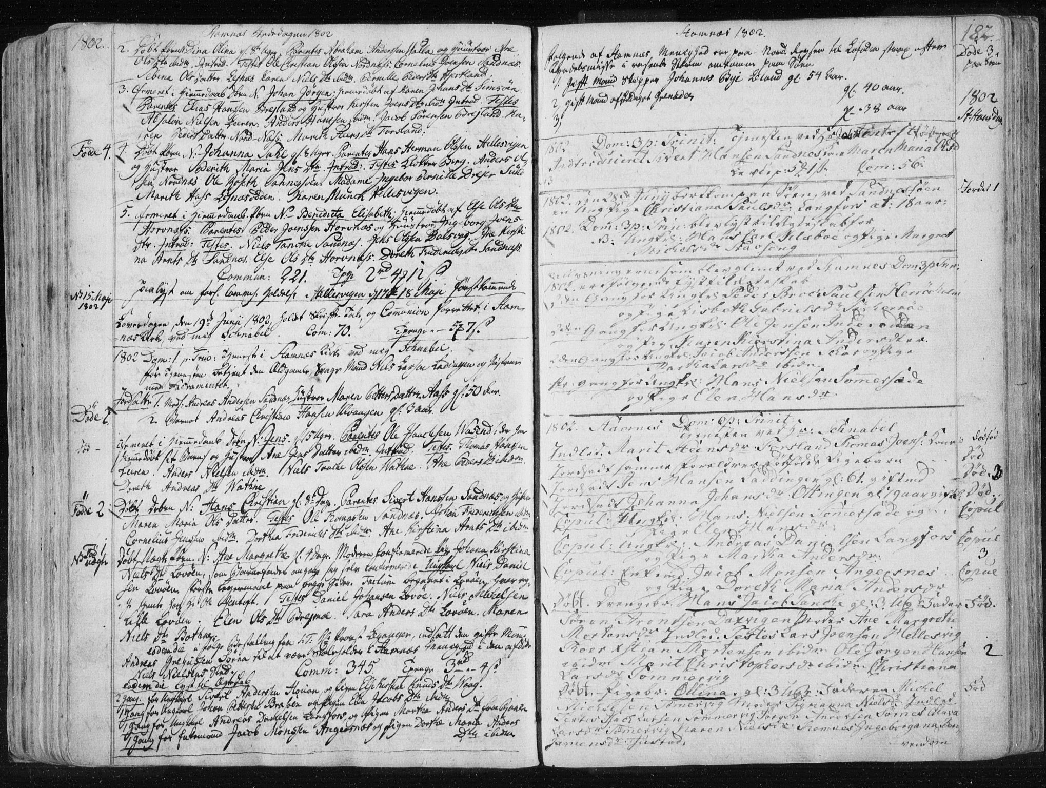 Ministerialprotokoller, klokkerbøker og fødselsregistre - Nordland, AV/SAT-A-1459/830/L0444: Ministerialbok nr. 830A08, 1801-1819, s. 182