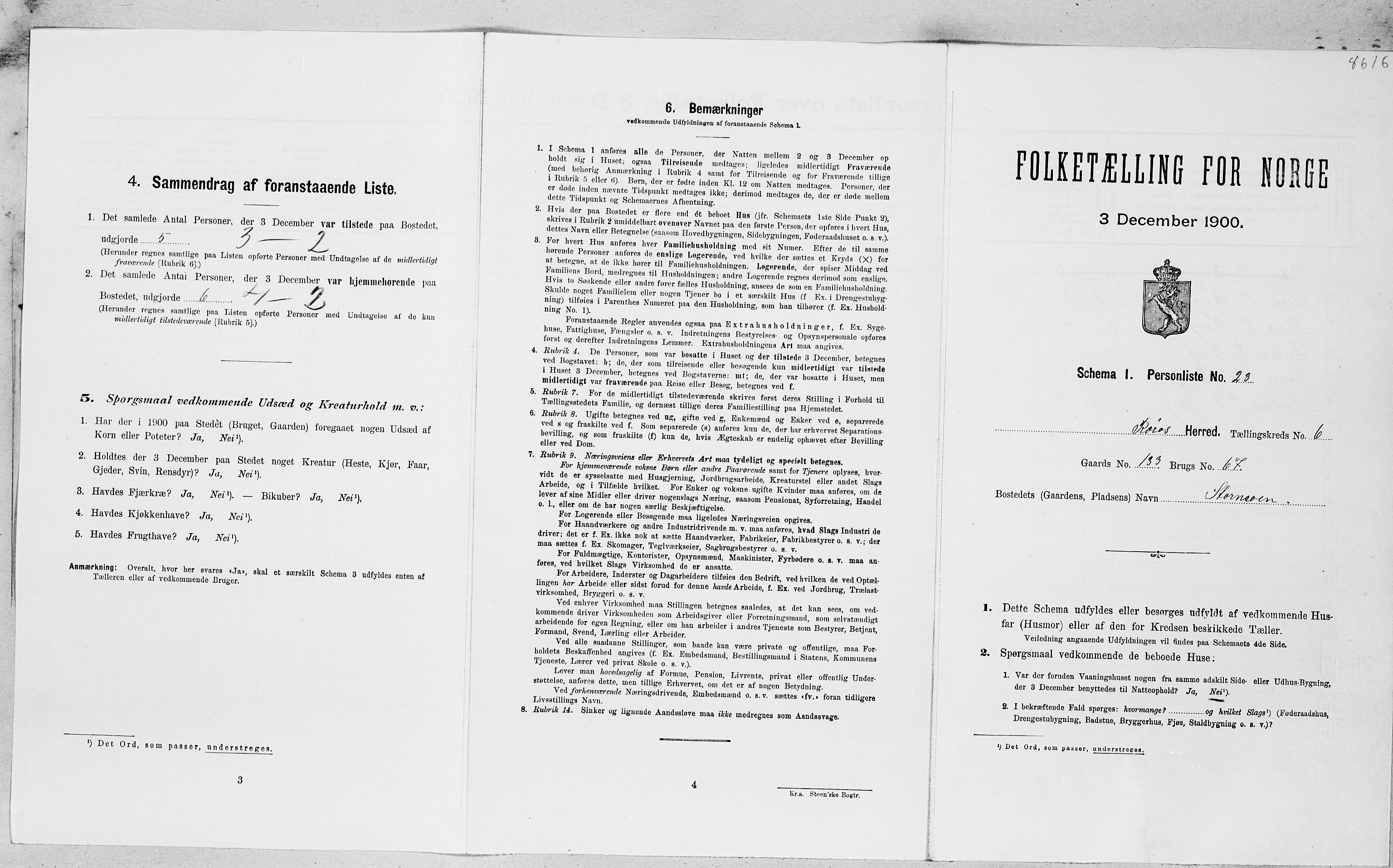 SAT, Folketelling 1900 for 1640 Røros herred, 1900, s. 810
