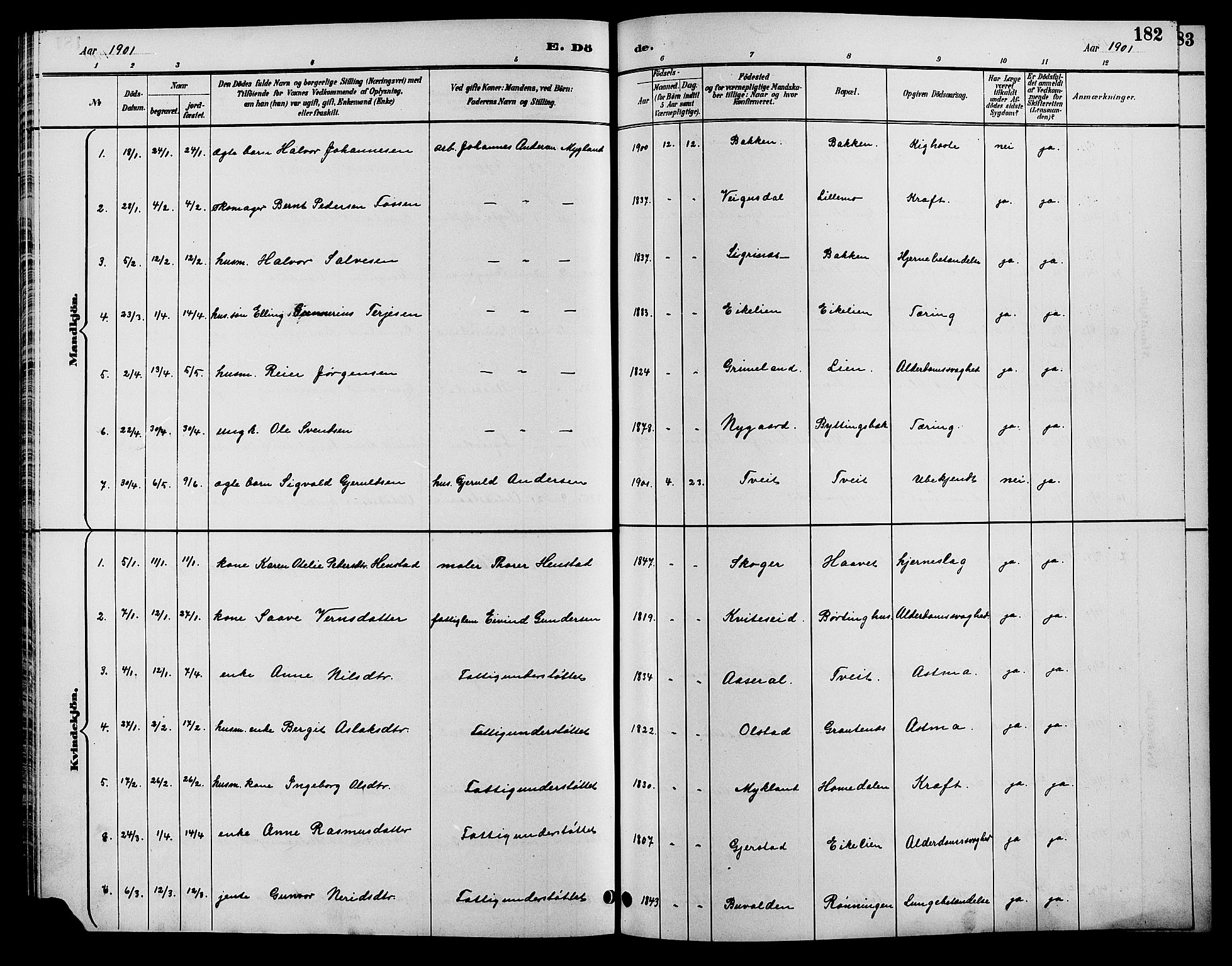 Åmli sokneprestkontor, SAK/1111-0050/F/Fb/Fbc/L0004: Klokkerbok nr. B 4, 1889-1902, s. 182