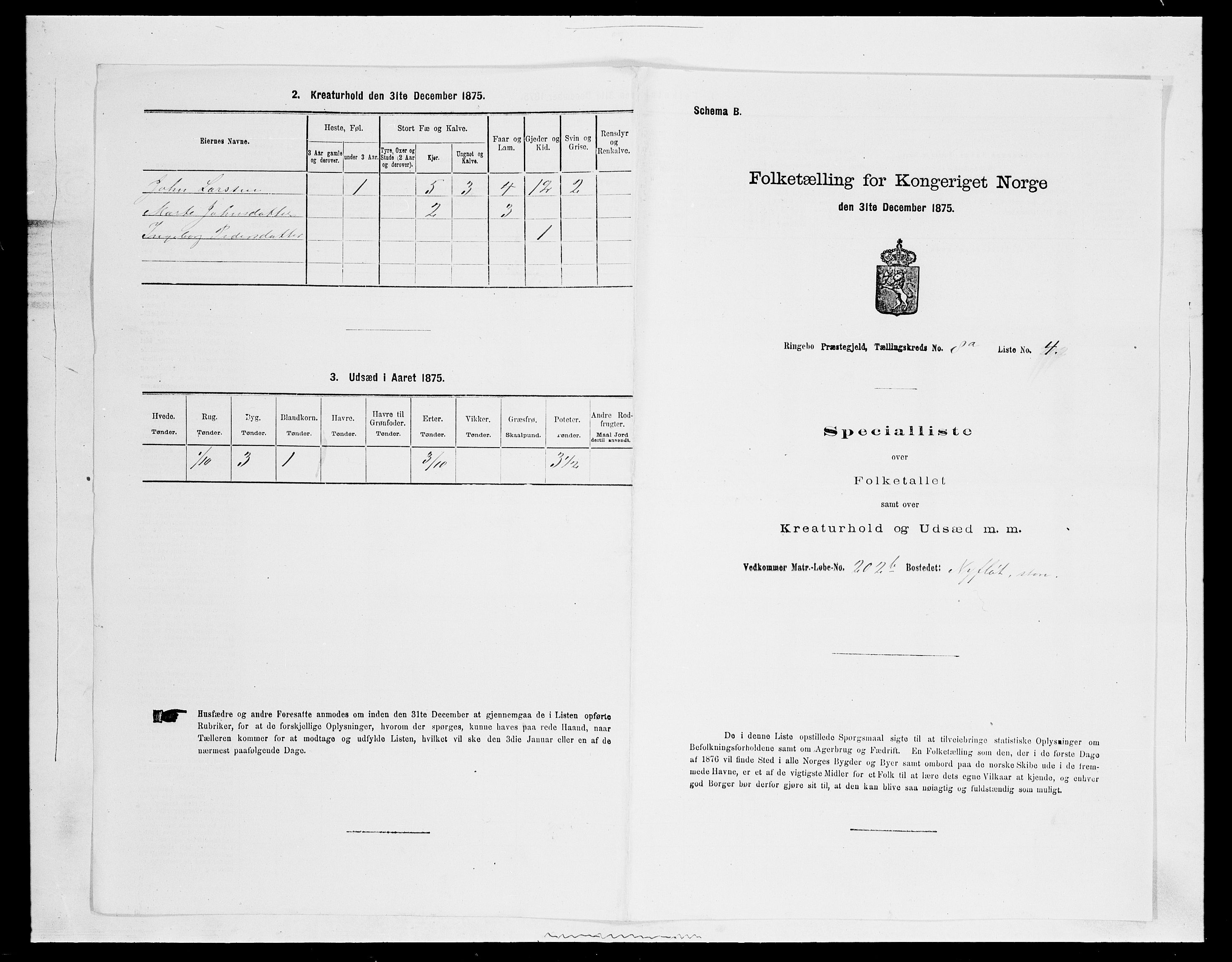 SAH, Folketelling 1875 for 0520P Ringebu prestegjeld, 1875, s. 1187