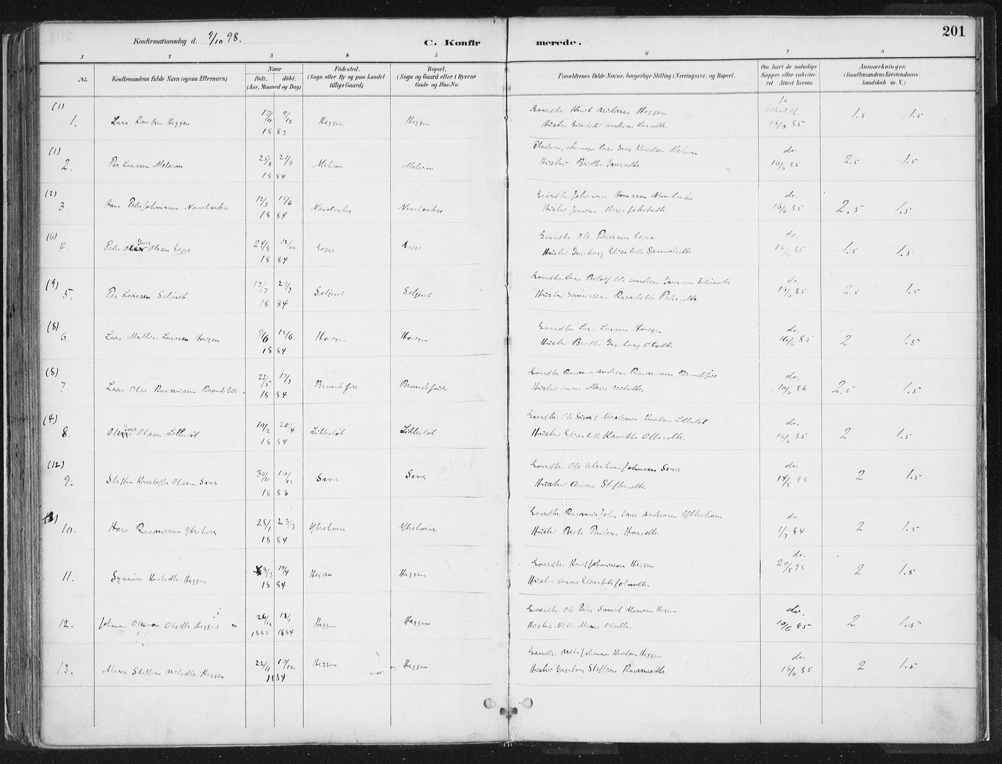 Hornindal sokneprestembete, AV/SAB-A-82401/H/Haa/Haaa/L0003/0001: Ministerialbok nr. A 3A, 1887-1917, s. 201