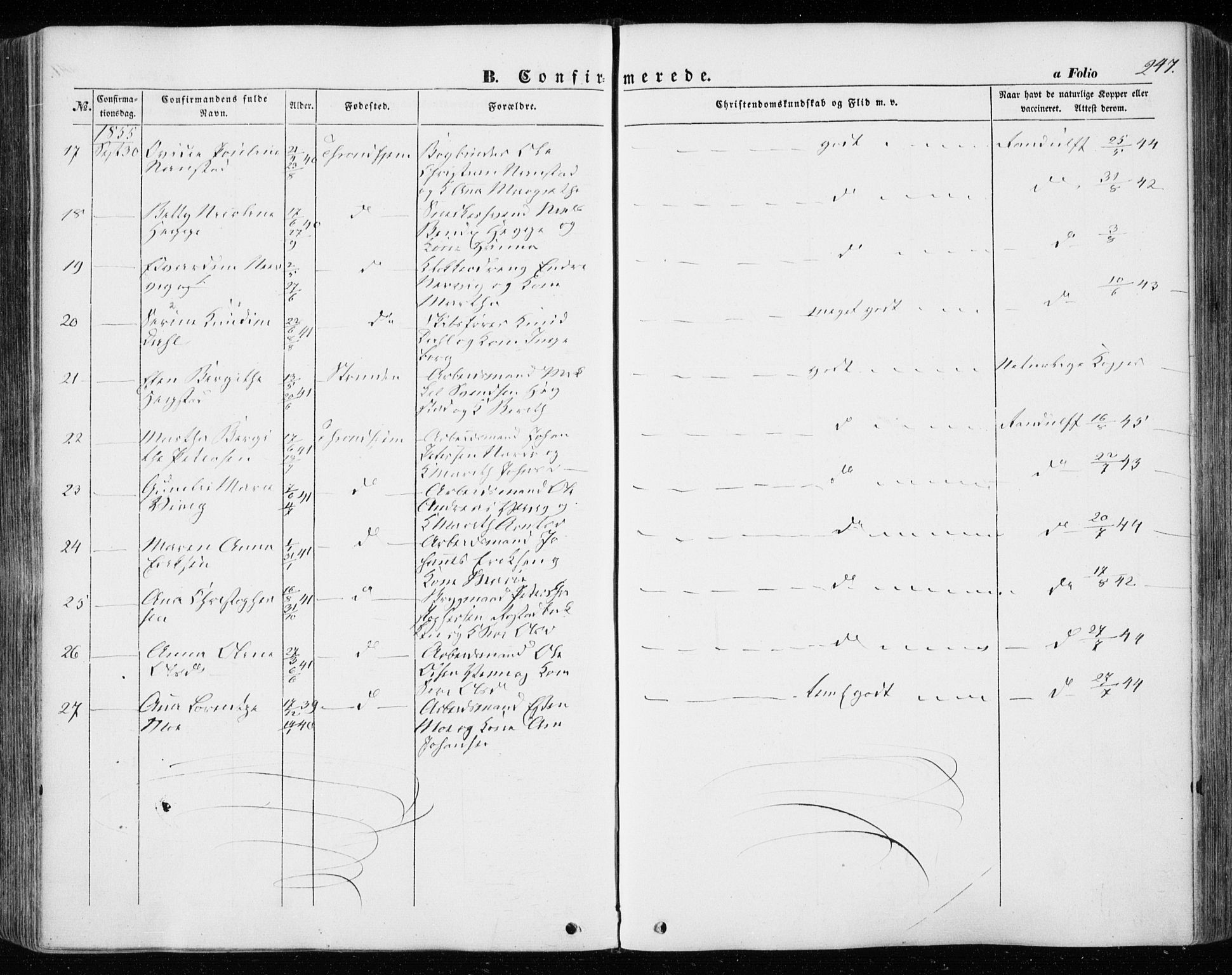 Ministerialprotokoller, klokkerbøker og fødselsregistre - Sør-Trøndelag, AV/SAT-A-1456/601/L0051: Ministerialbok nr. 601A19, 1848-1857, s. 247