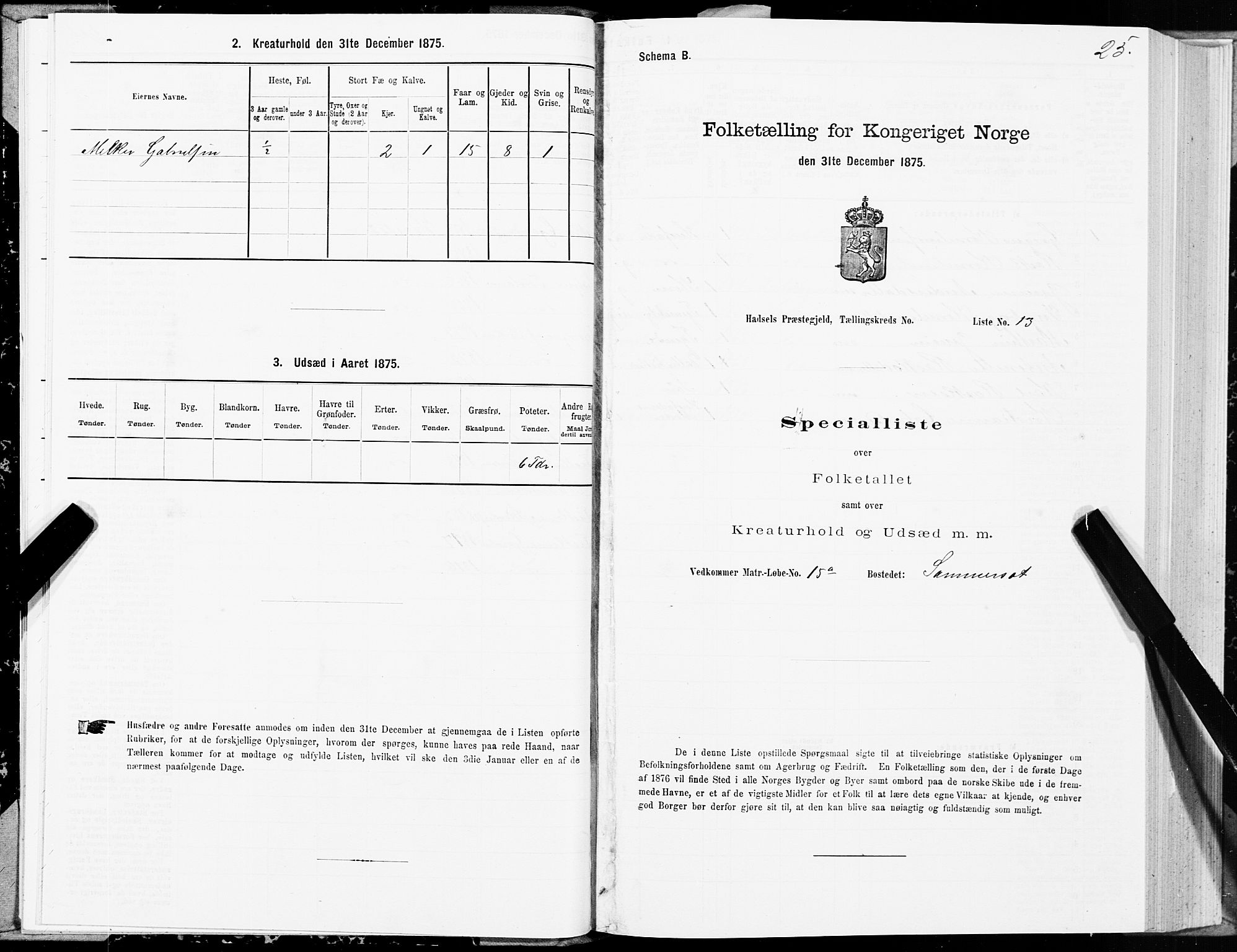 SAT, Folketelling 1875 for 1866P Hadsel prestegjeld, 1875, s. 1025