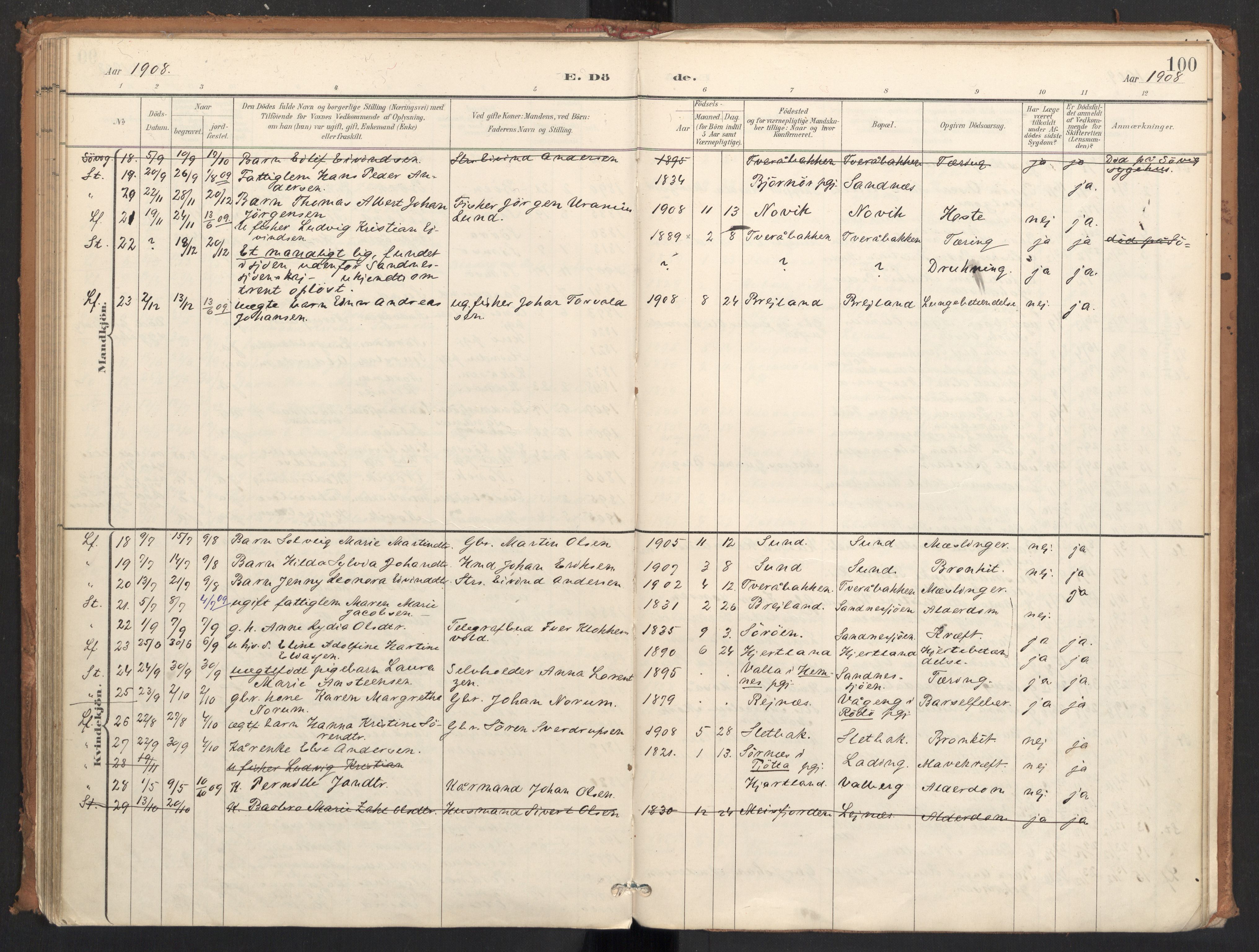 Ministerialprotokoller, klokkerbøker og fødselsregistre - Nordland, AV/SAT-A-1459/831/L0472: Ministerialbok nr. 831A03, 1897-1912, s. 100