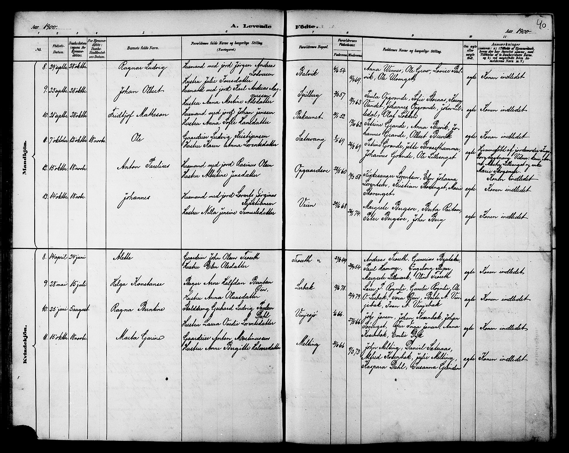 Ministerialprotokoller, klokkerbøker og fødselsregistre - Nord-Trøndelag, AV/SAT-A-1458/733/L0327: Klokkerbok nr. 733C02, 1888-1918, s. 40