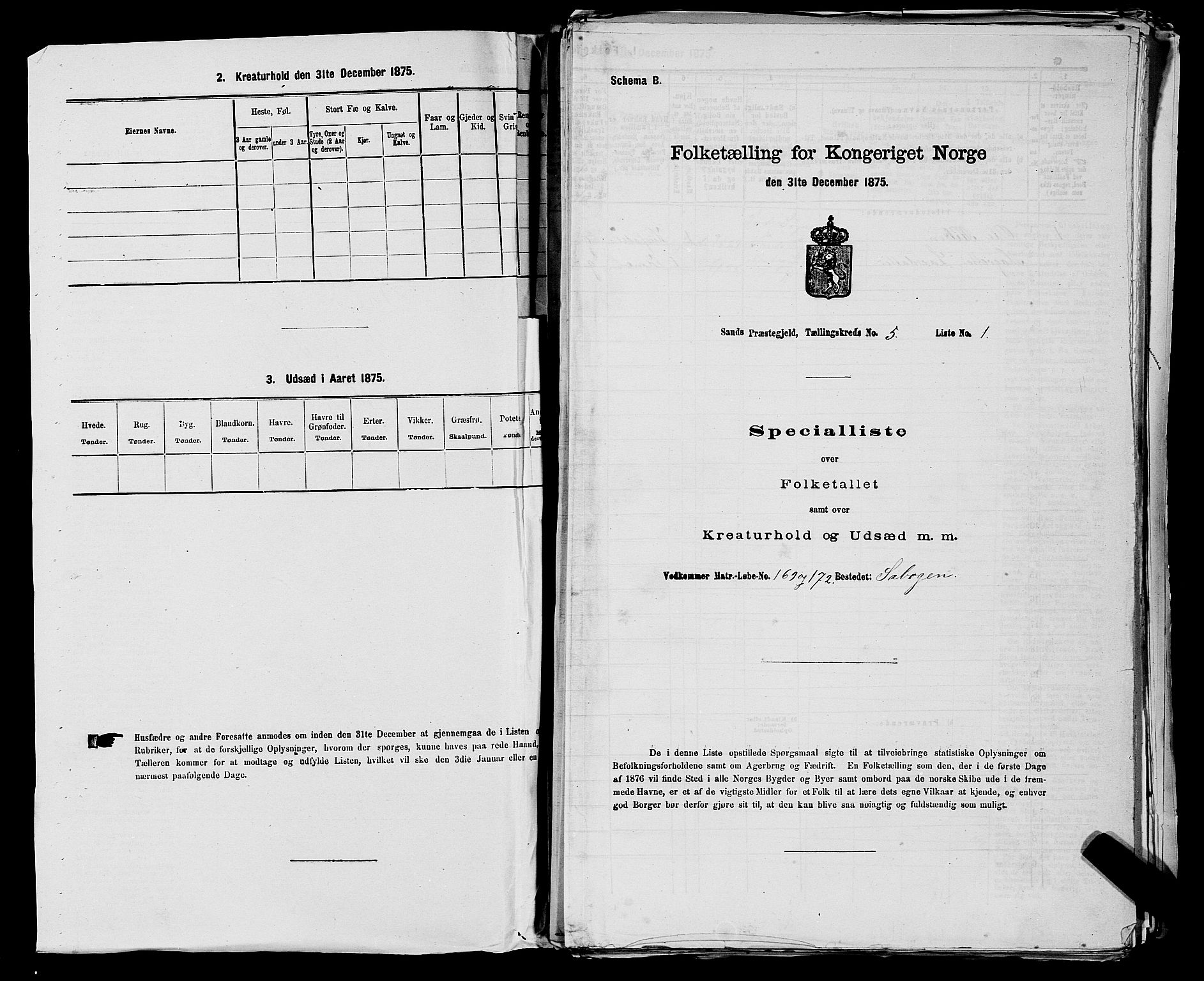 SAST, Folketelling 1875 for 1136P Sand prestegjeld, 1875, s. 1435