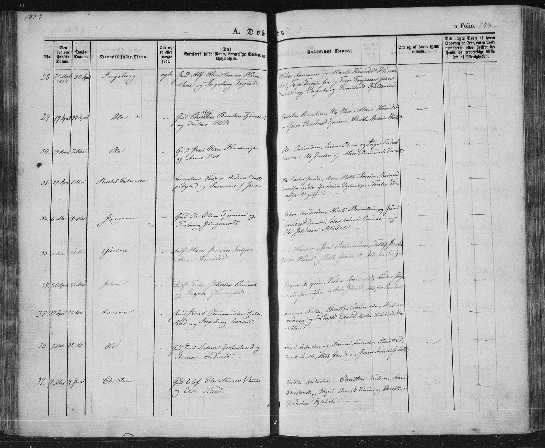 Vennesla sokneprestkontor, AV/SAK-1111-0045/Fa/Fac/L0004: Ministerialbok nr. A 4, 1834-1855, s. 243