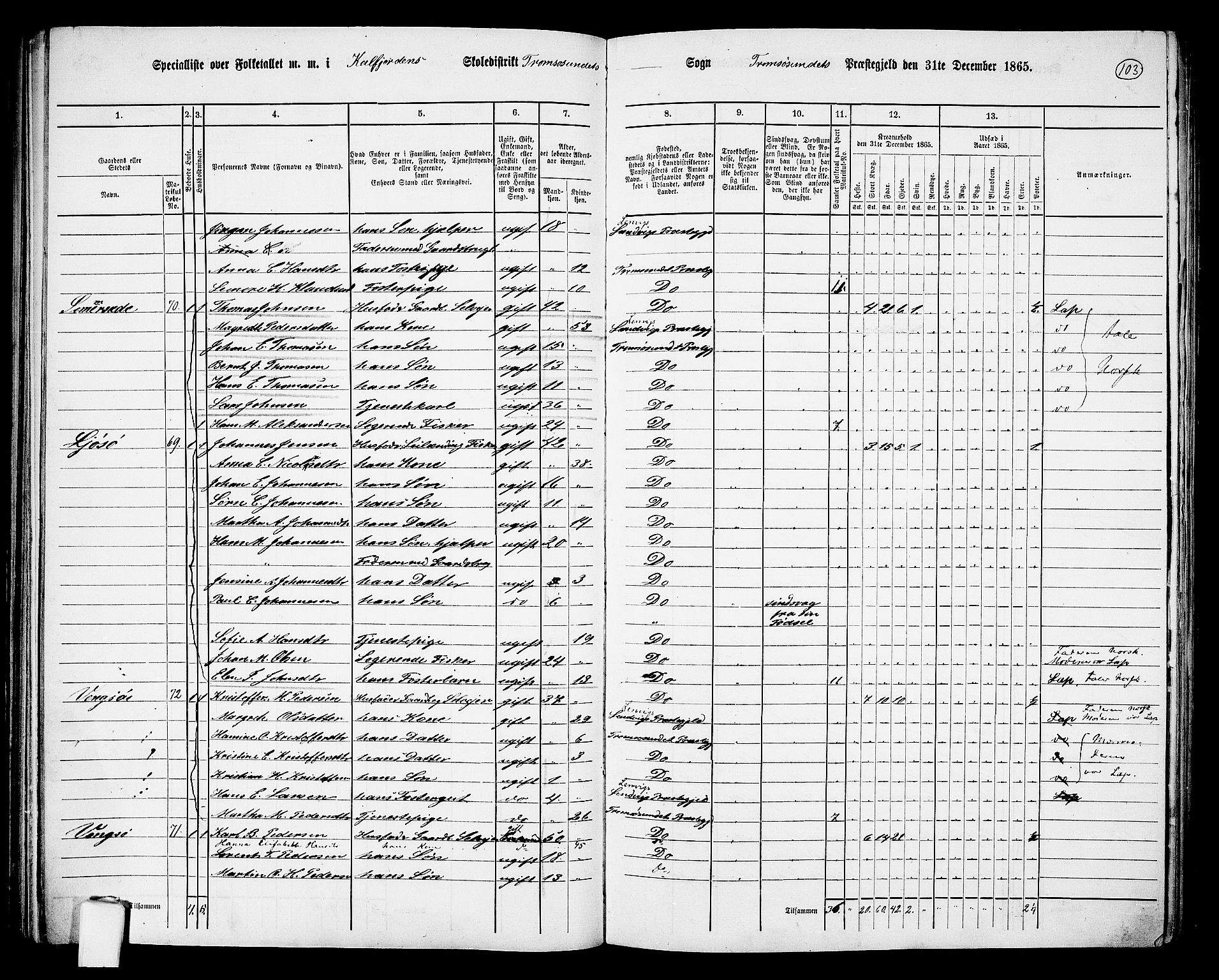 RA, Folketelling 1865 for 1934P Tromsøysund prestegjeld, 1865, s. 87