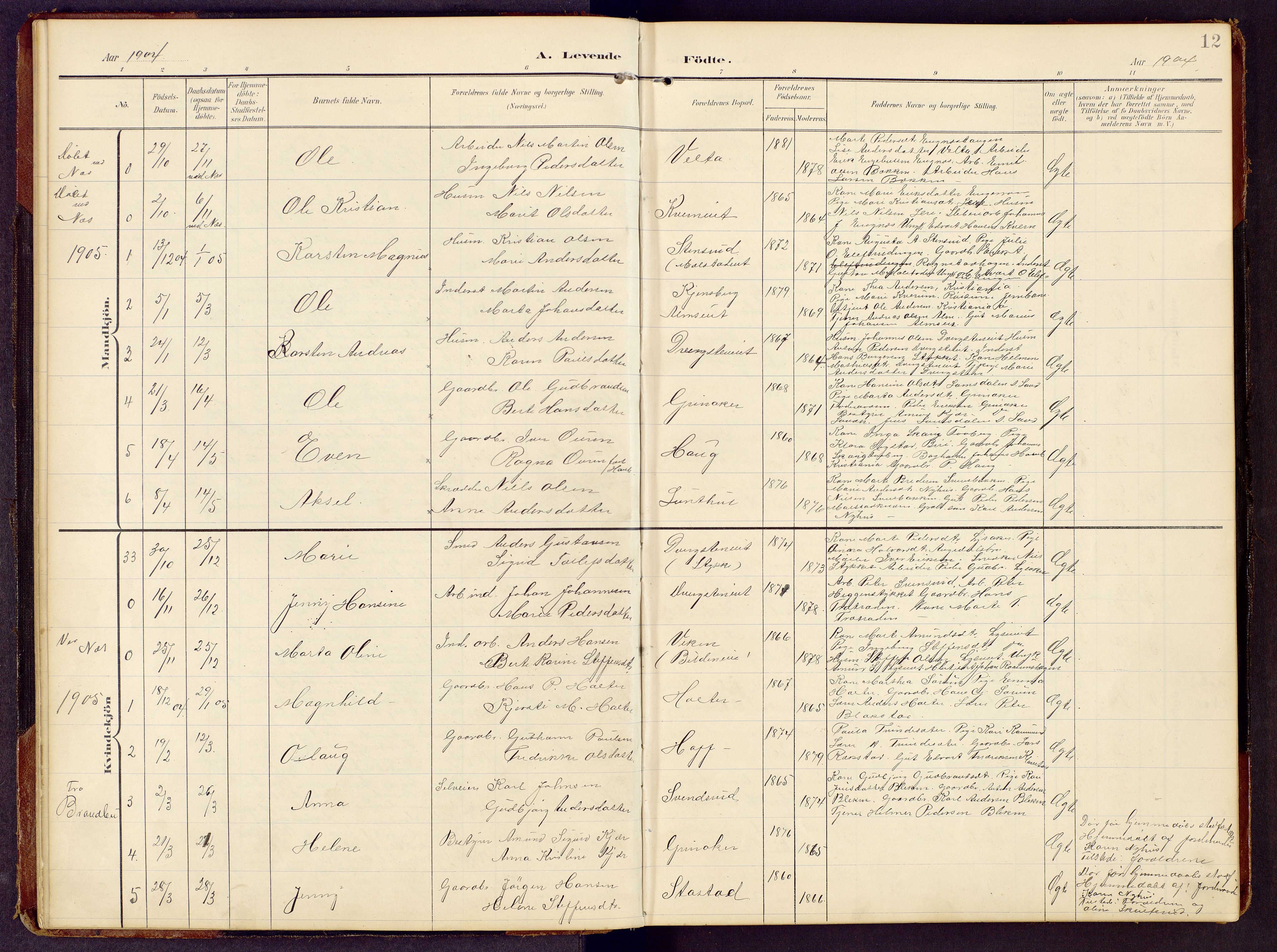 Brandbu prestekontor, AV/SAH-PREST-114/H/Ha/Hab/L0009: Klokkerbok nr. 9, 1903-1916, s. 12
