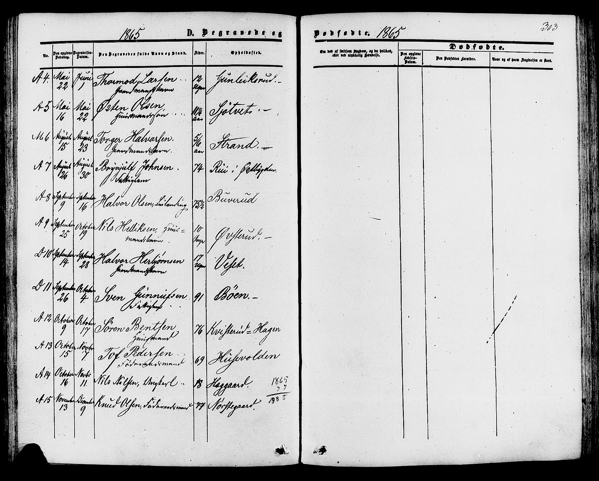 Tinn kirkebøker, AV/SAKO-A-308/F/Fa/L0006: Ministerialbok nr. I 6, 1857-1878, s. 303