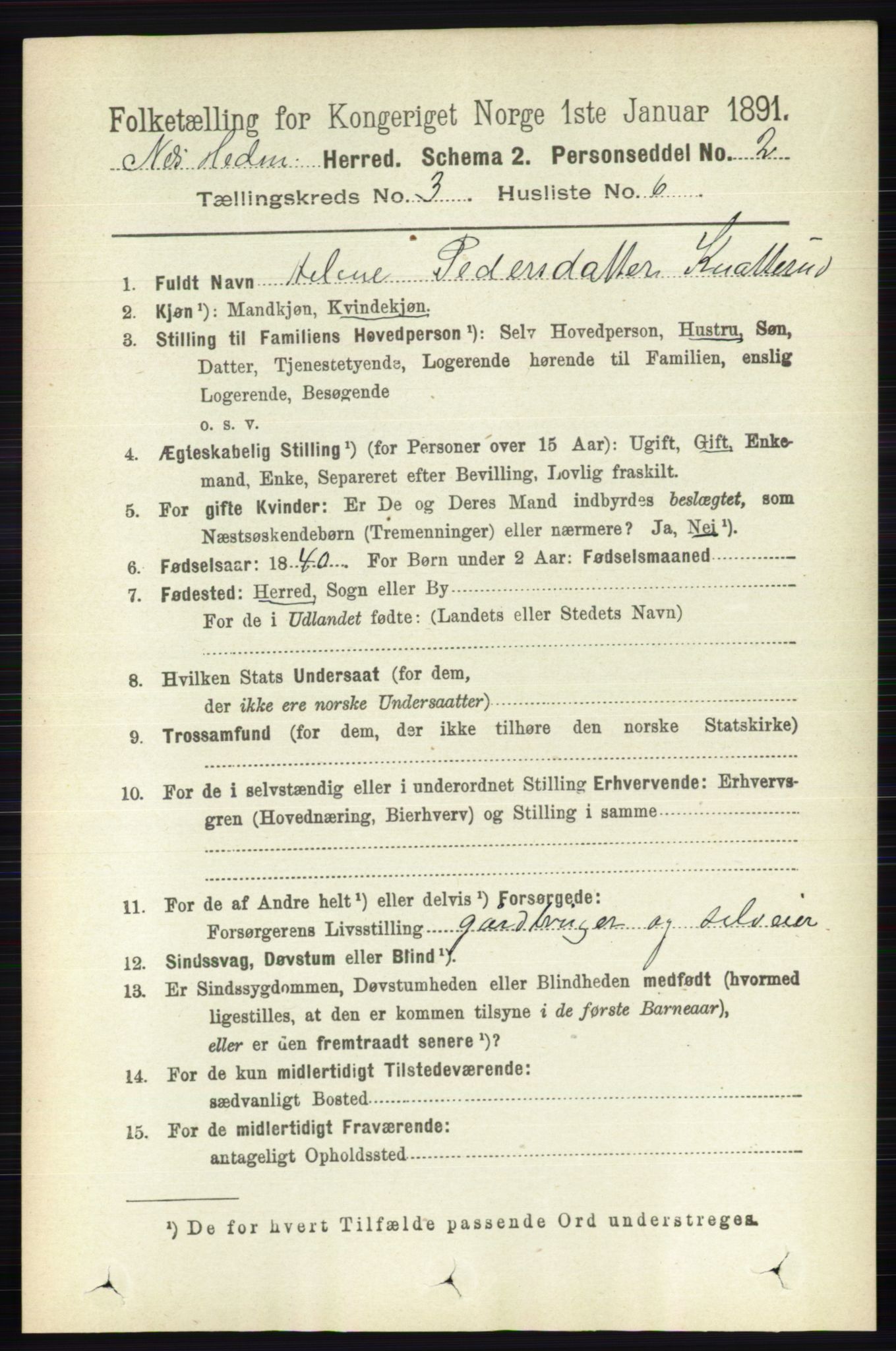 RA, Folketelling 1891 for 0411 Nes herred, 1891, s. 1623