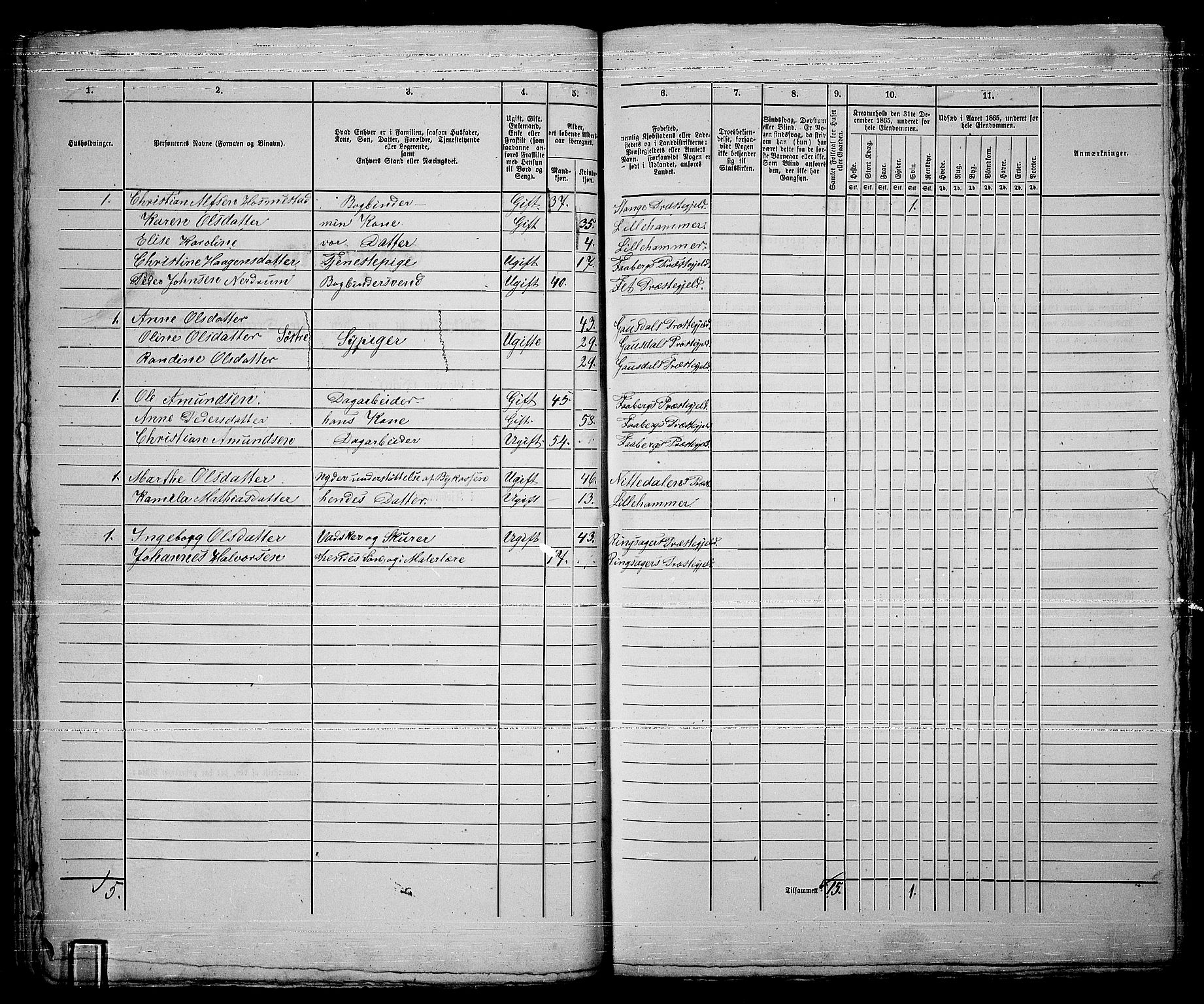 RA, Folketelling 1865 for 0501B Fåberg prestegjeld, Lillehammer kjøpstad, 1865, s. 133