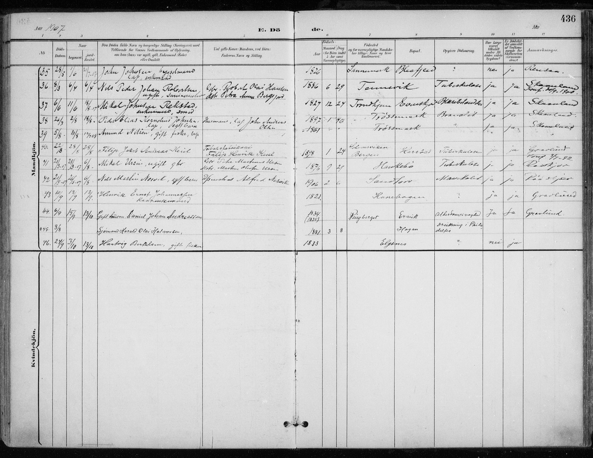 Trondenes sokneprestkontor, AV/SATØ-S-1319/H/Ha/L0017kirke: Ministerialbok nr. 17, 1899-1908, s. 436