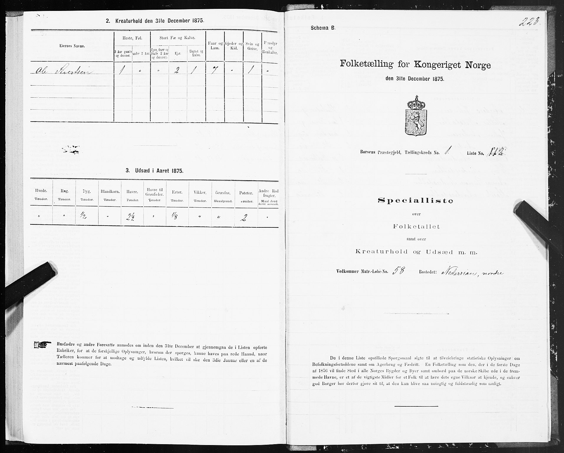 SAT, Folketelling 1875 for 1658P Børsa prestegjeld, 1875, s. 1223