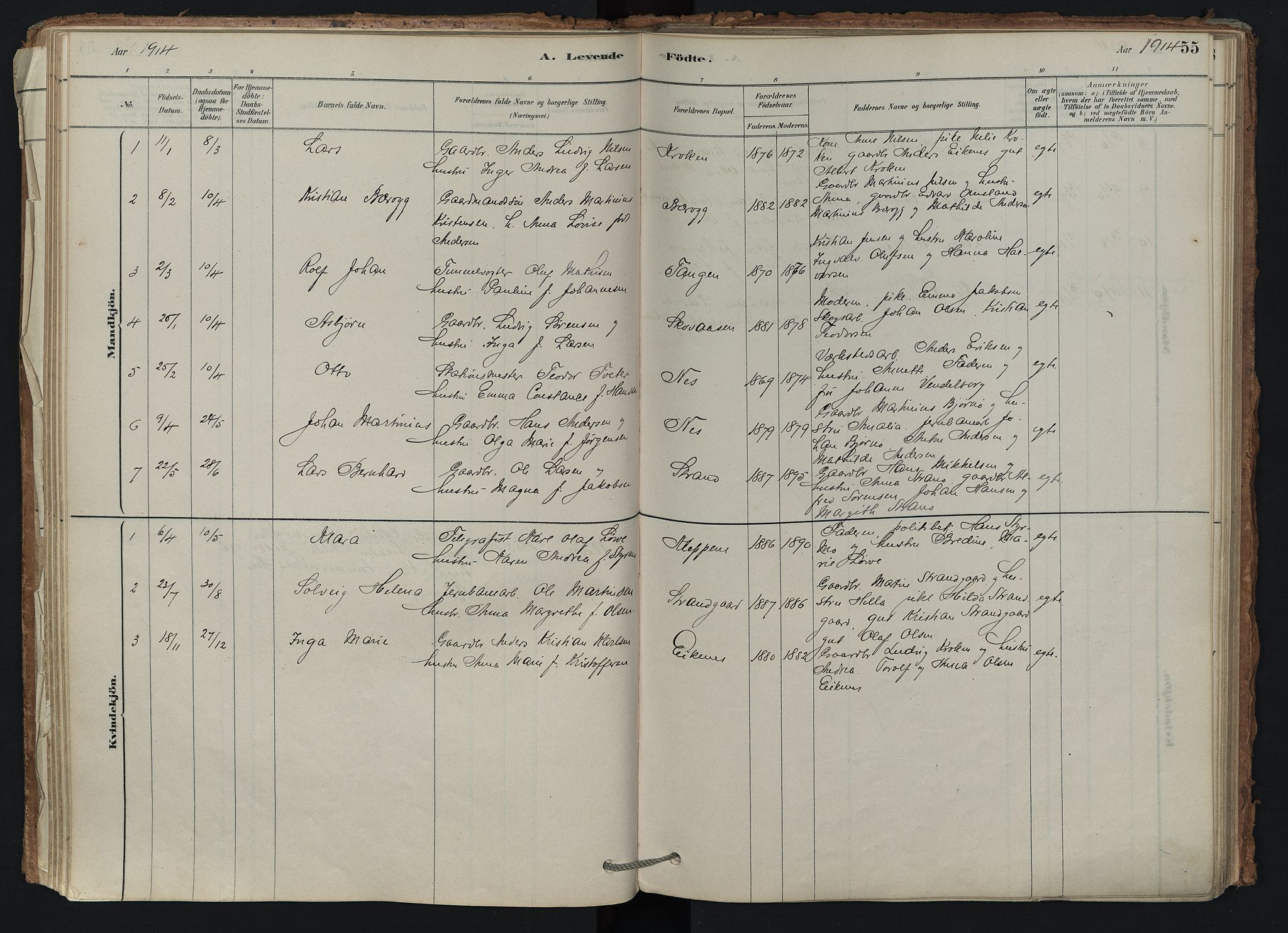 Brunlanes kirkebøker, AV/SAKO-A-342/F/Fd/L0001: Ministerialbok nr. IV 1, 1878-1917, s. 55