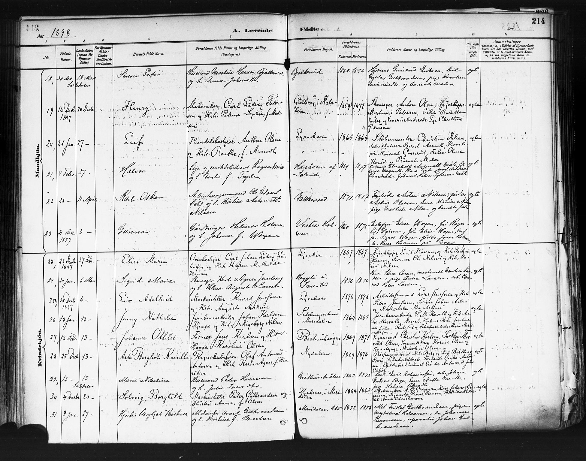 Vestre Aker prestekontor Kirkebøker, AV/SAO-A-10025/F/Fa/L0010: Ministerialbok nr. 10, 1886-1903, s. 214