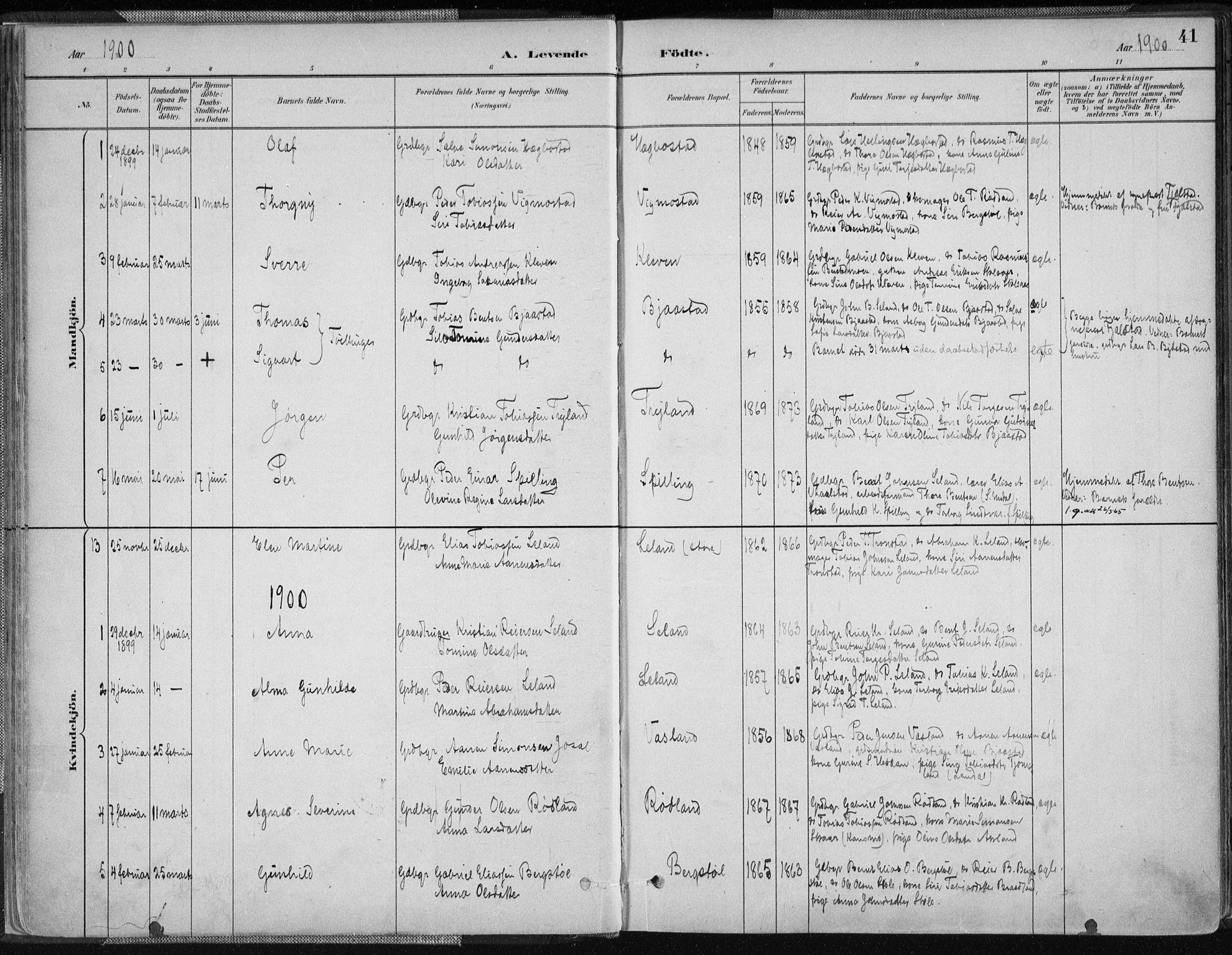 Nord-Audnedal sokneprestkontor, SAK/1111-0032/F/Fa/Fab/L0003: Ministerialbok nr. A 3, 1882-1900, s. 41