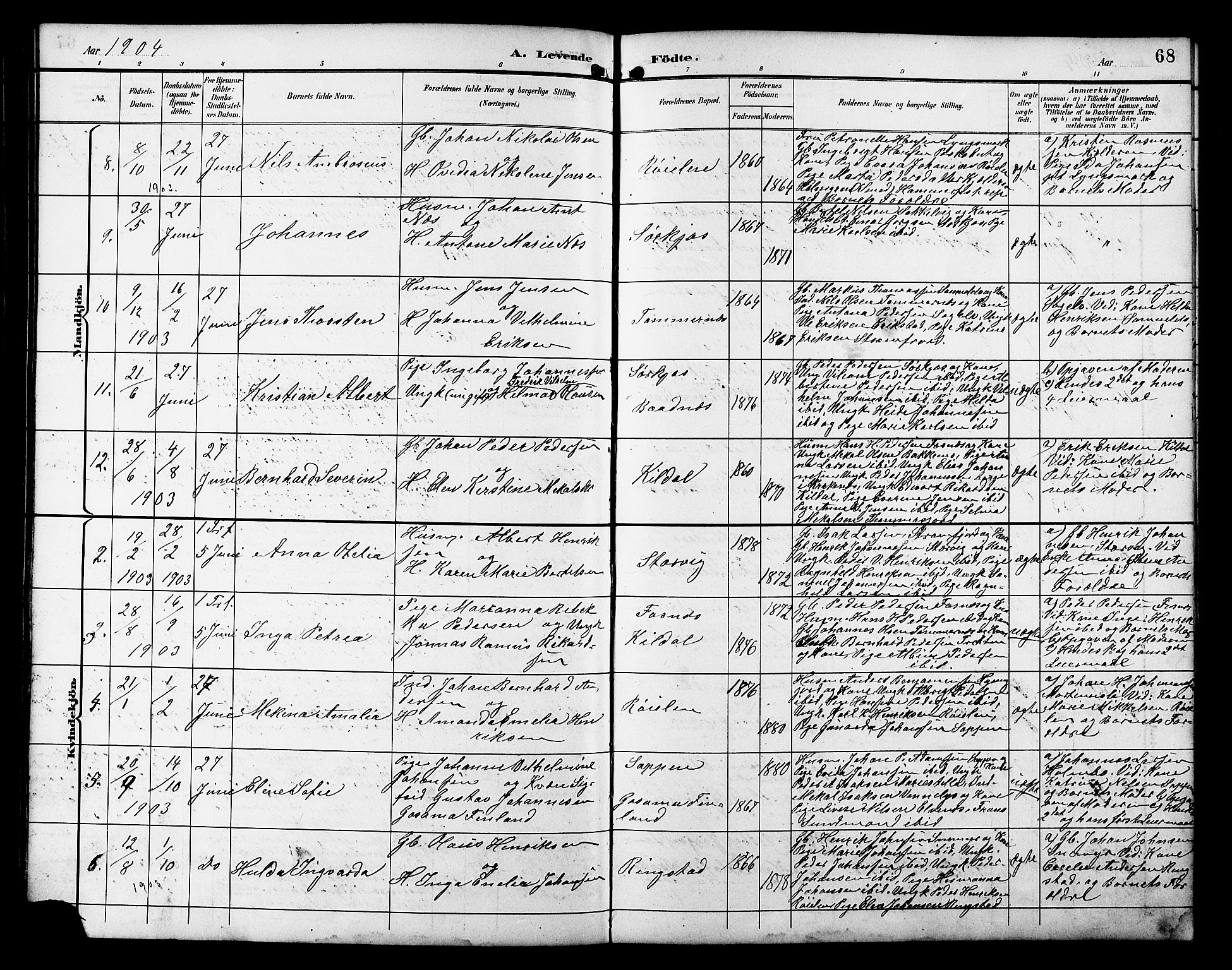 Skjervøy sokneprestkontor, AV/SATØ-S-1300/H/Ha/Hab/L0021klokker: Klokkerbok nr. 21, 1893-1910, s. 68