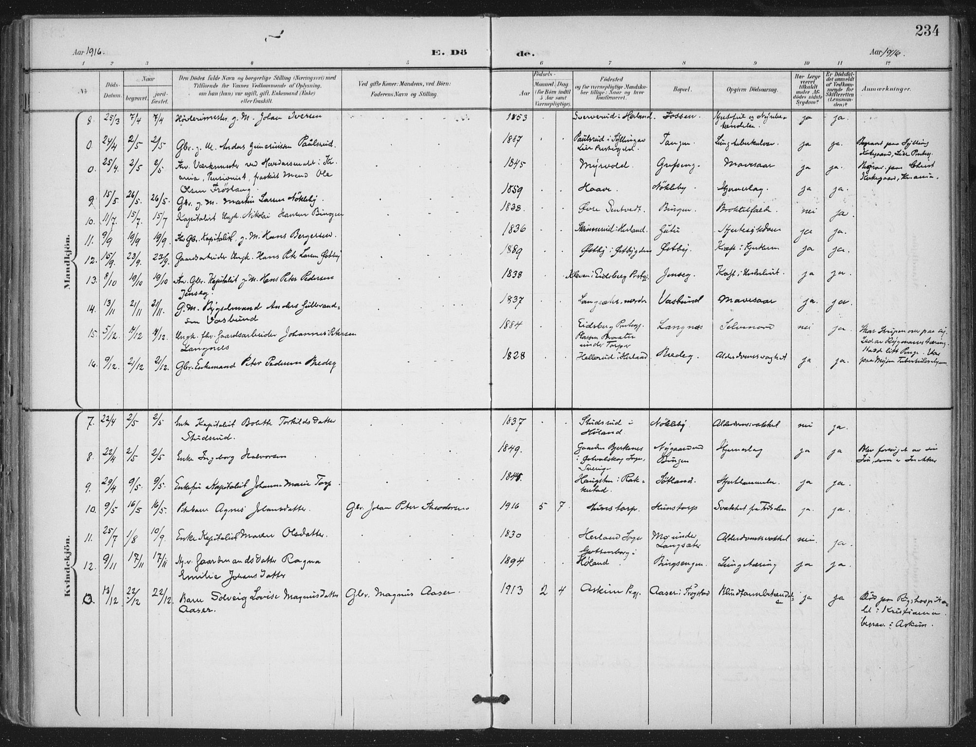 Trøgstad prestekontor Kirkebøker, AV/SAO-A-10925/F/Fa/L0011: Ministerialbok nr. I 11, 1899-1919, s. 234