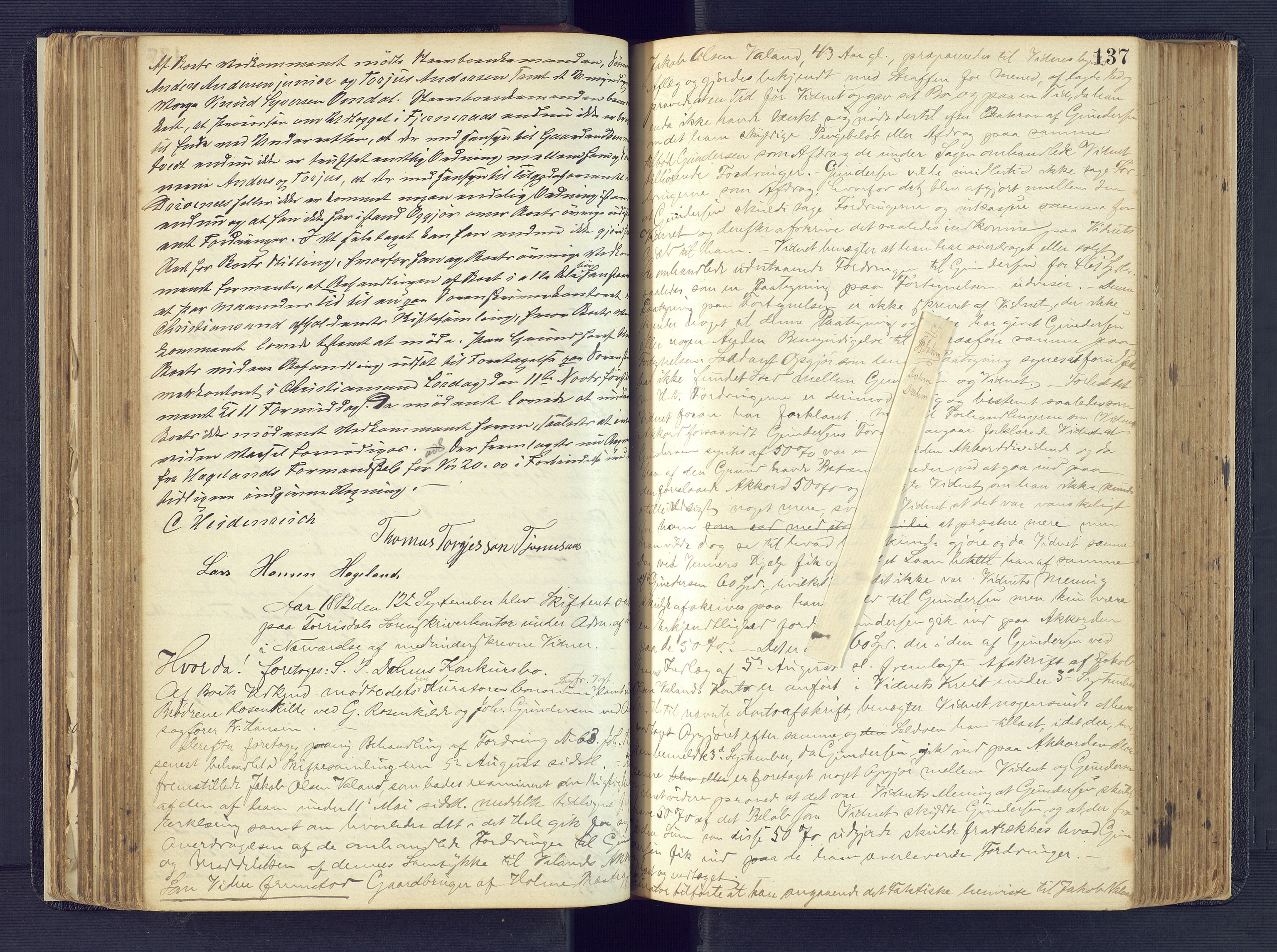 Torridal sorenskriveri, SAK/1221-0012/H/Hc/L0017: Skifteforhandlingsprotokoll med navneregister nr. 3, 1878-1890, s. 137