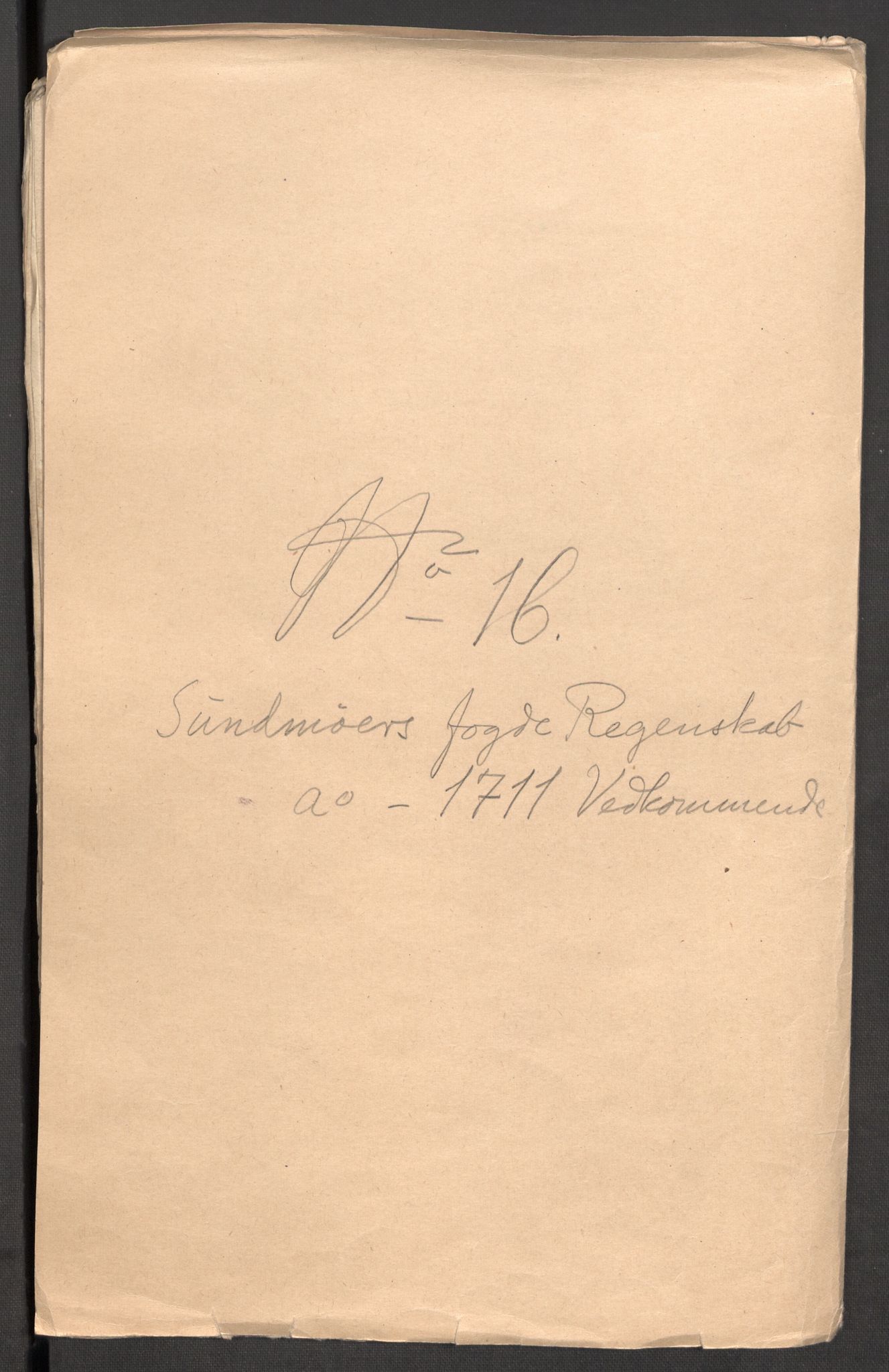 Rentekammeret inntil 1814, Reviderte regnskaper, Fogderegnskap, AV/RA-EA-4092/R54/L3564: Fogderegnskap Sunnmøre, 1711, s. 256