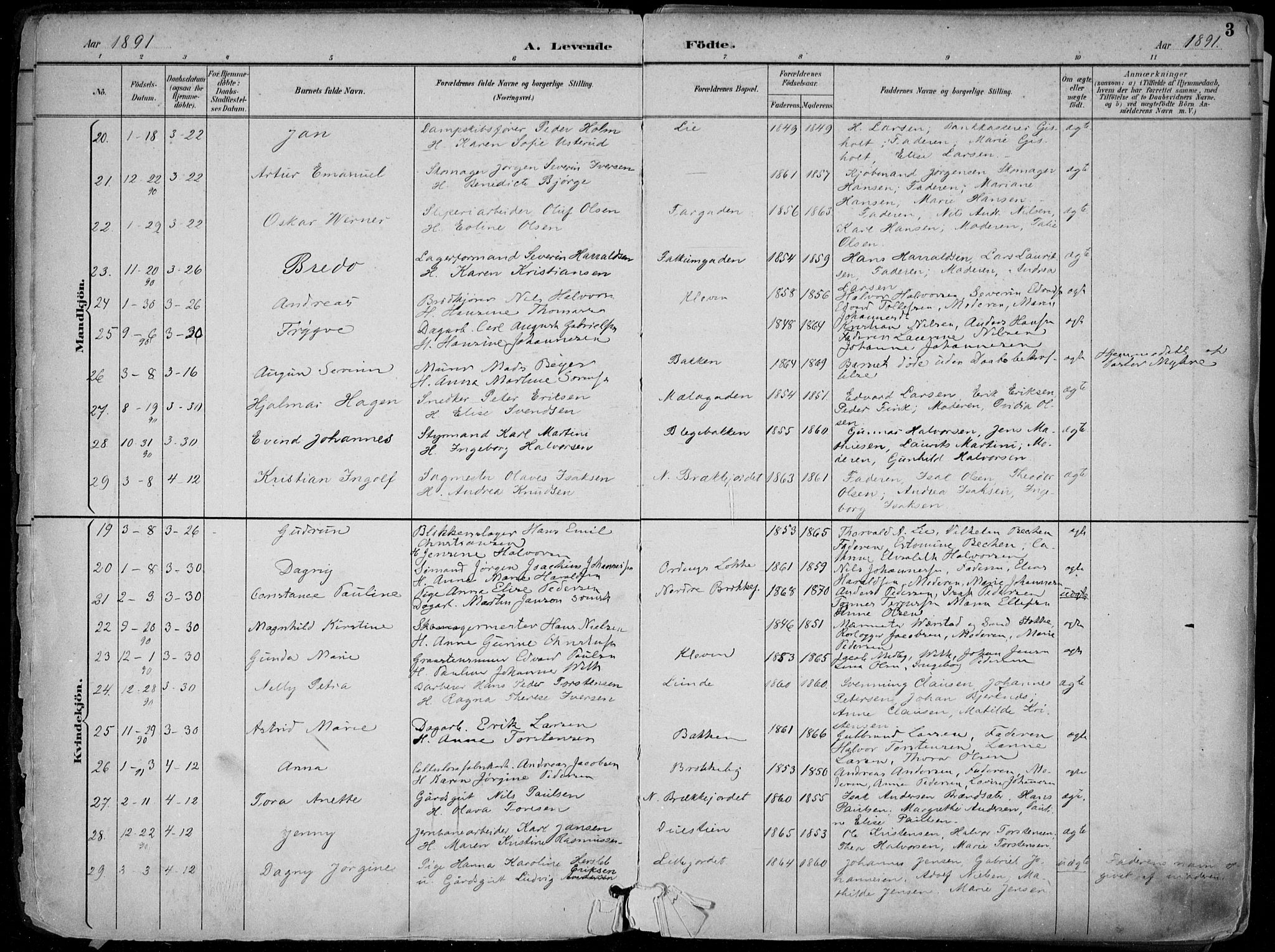 Skien kirkebøker, AV/SAKO-A-302/F/Fa/L0010: Ministerialbok nr. 10, 1891-1899, s. 3