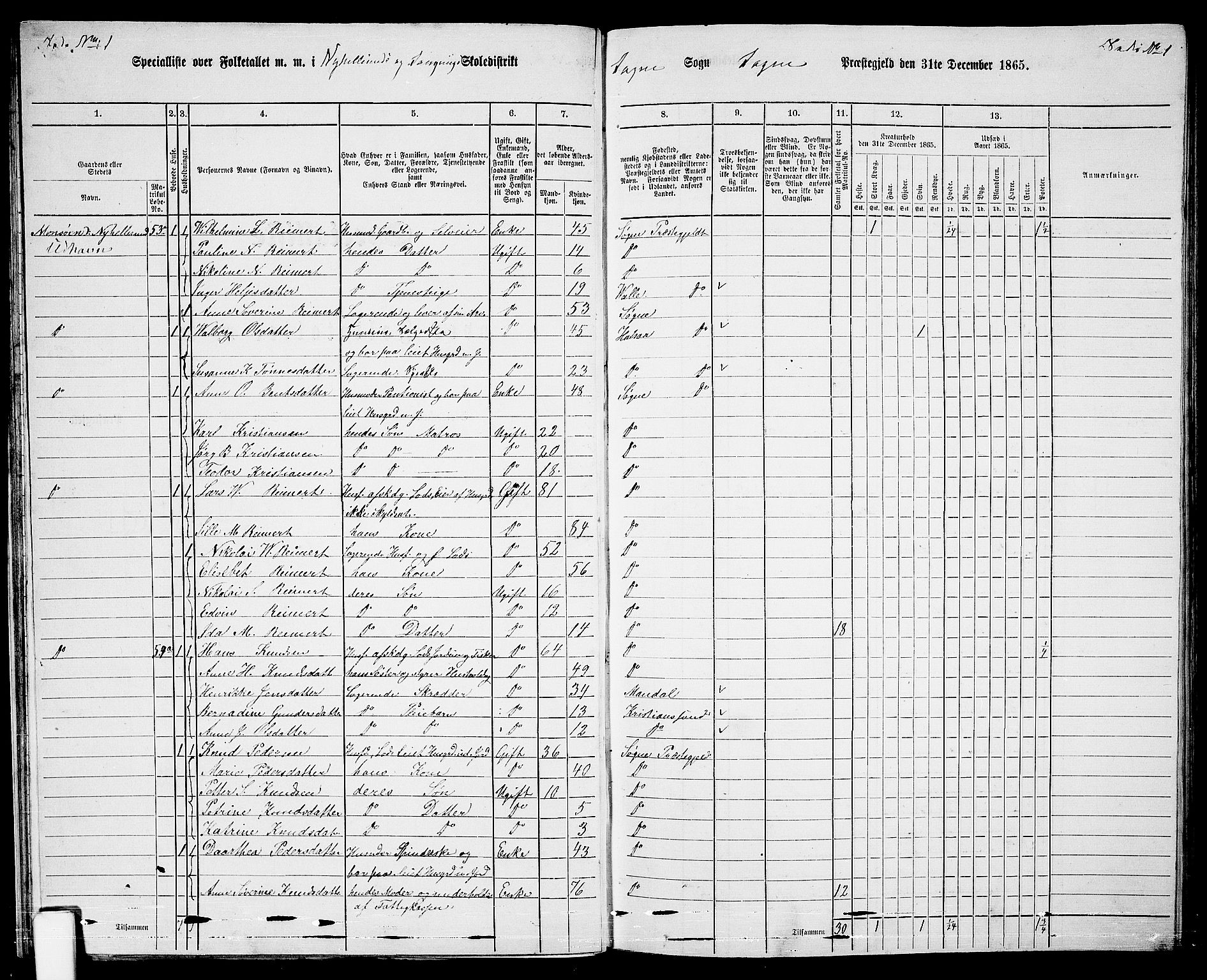 RA, Folketelling 1865 for 1018P Søgne prestegjeld, 1865, s. 37