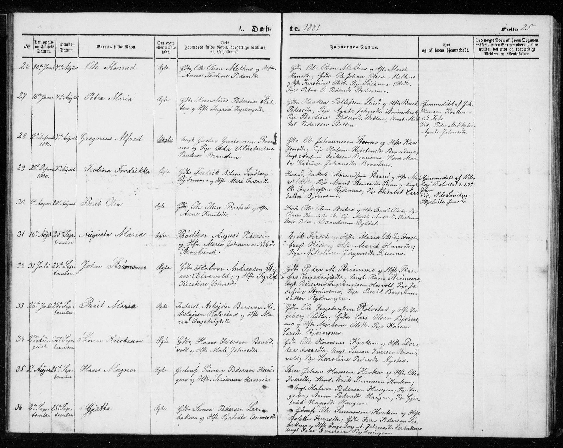 Målselv sokneprestembete, AV/SATØ-S-1311/G/Ga/Gab/L0007klokker: Klokkerbok nr. 7, 1876-1895, s. 25
