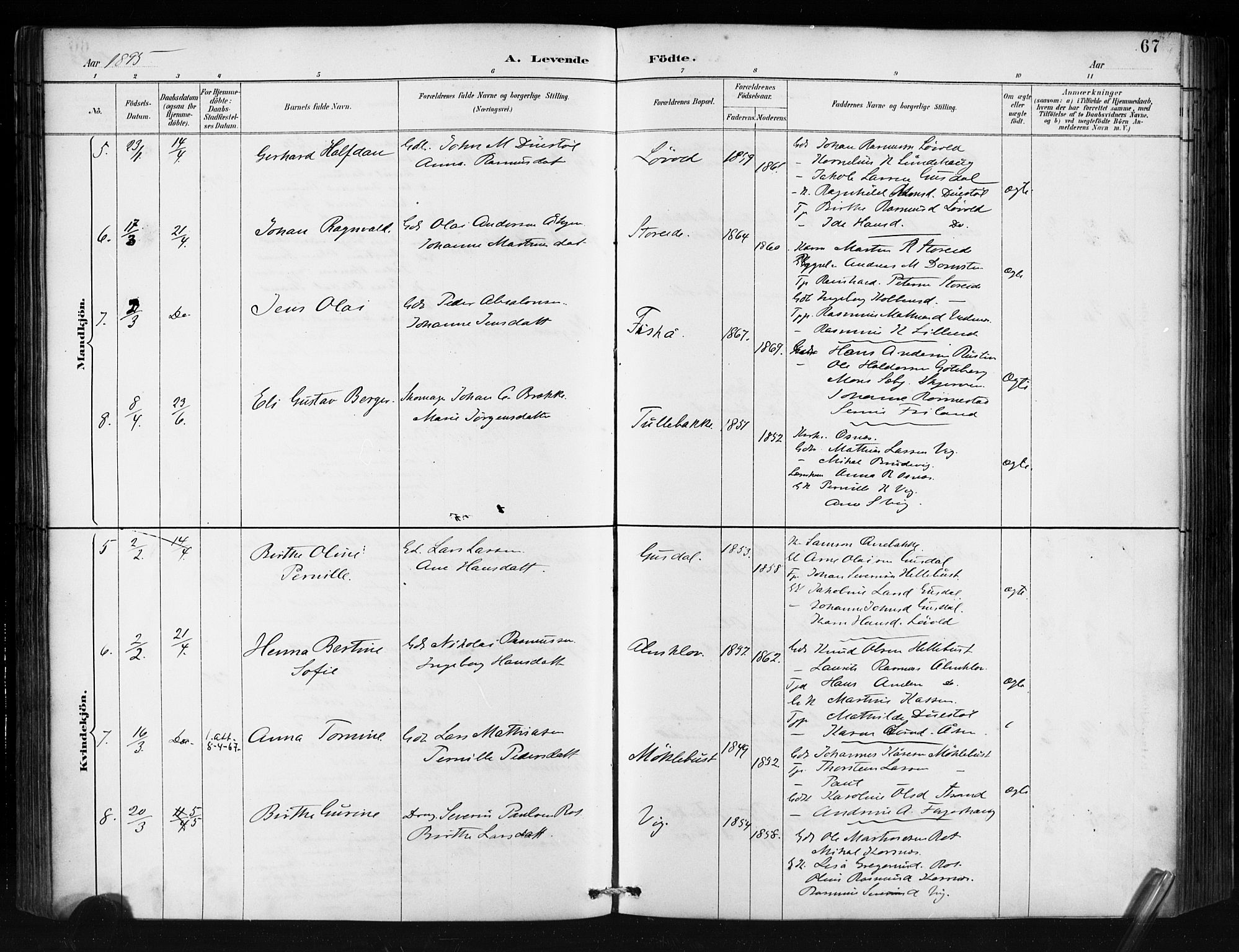 Ministerialprotokoller, klokkerbøker og fødselsregistre - Møre og Romsdal, AV/SAT-A-1454/501/L0008: Ministerialbok nr. 501A08, 1885-1901, s. 67