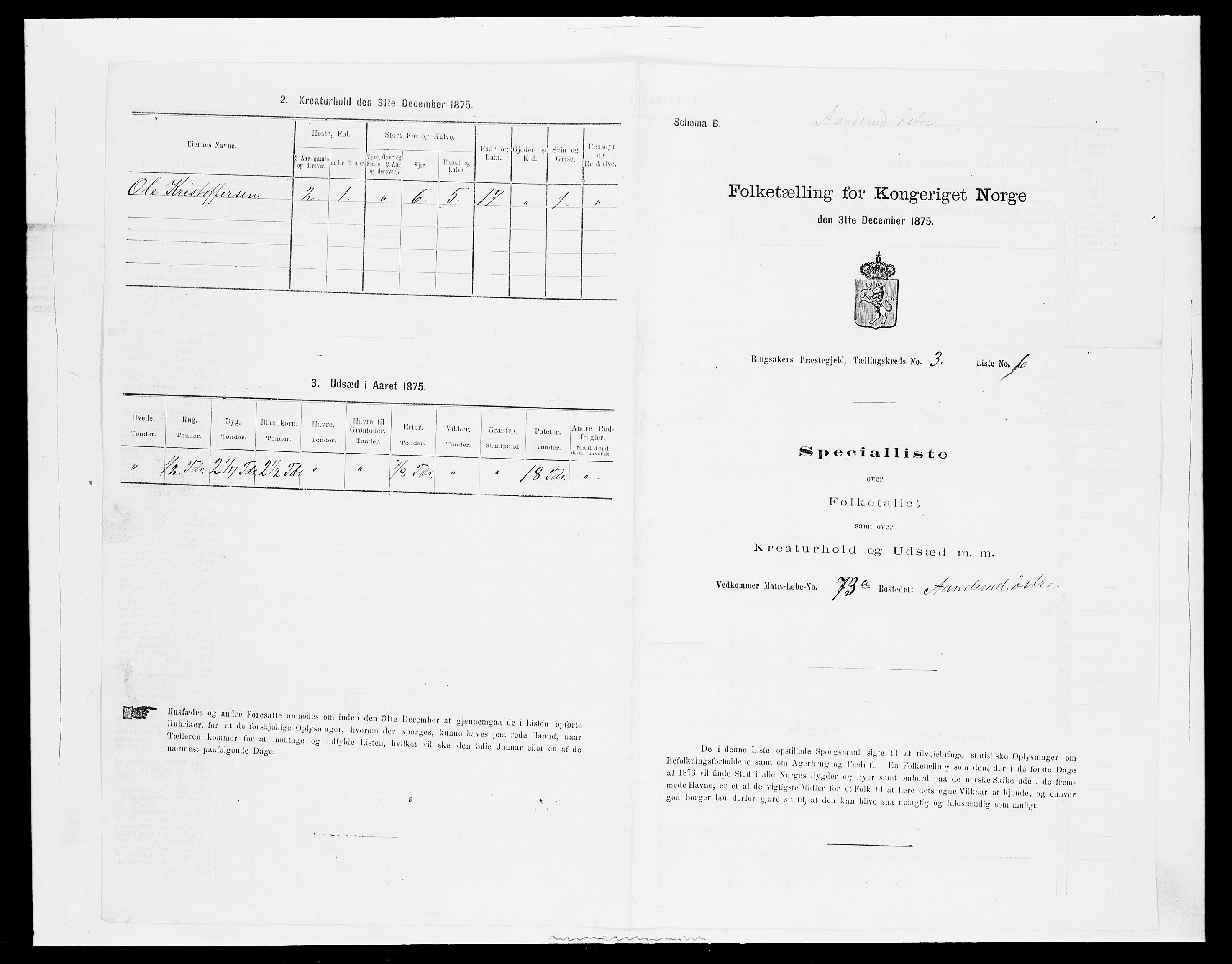 SAH, Folketelling 1875 for 0412P Ringsaker prestegjeld, 1875, s. 625