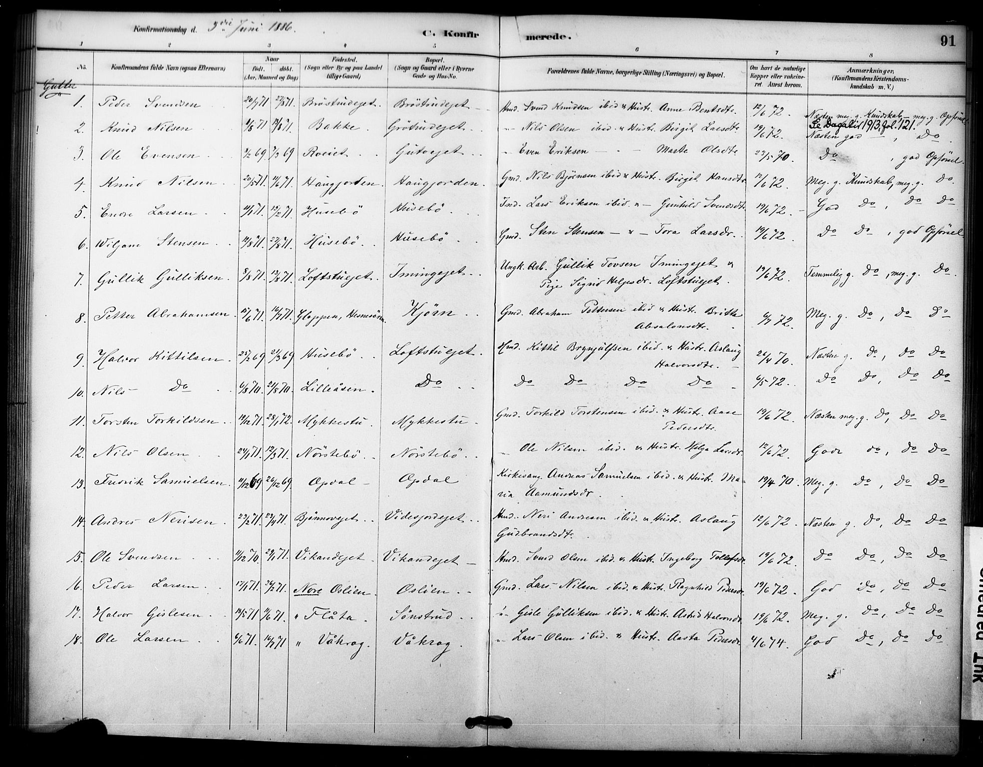 Nore kirkebøker, AV/SAKO-A-238/F/Fc/L0004: Ministerialbok nr. III 4, 1885-1898, s. 91