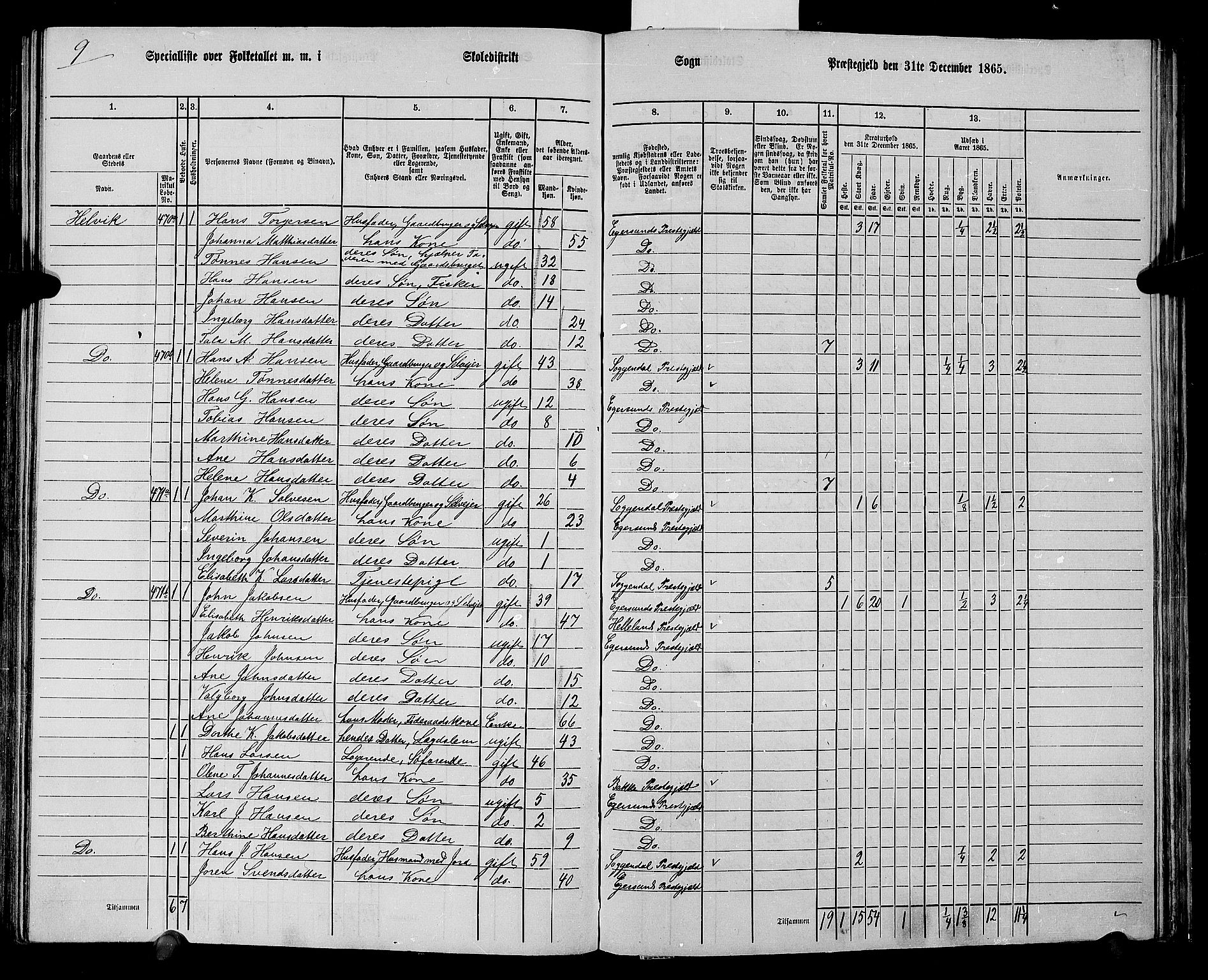 RA, Folketelling 1865 for 1116L Eigersund prestegjeld, Eigersund landsokn og Ogna sokn, 1865, s. 123