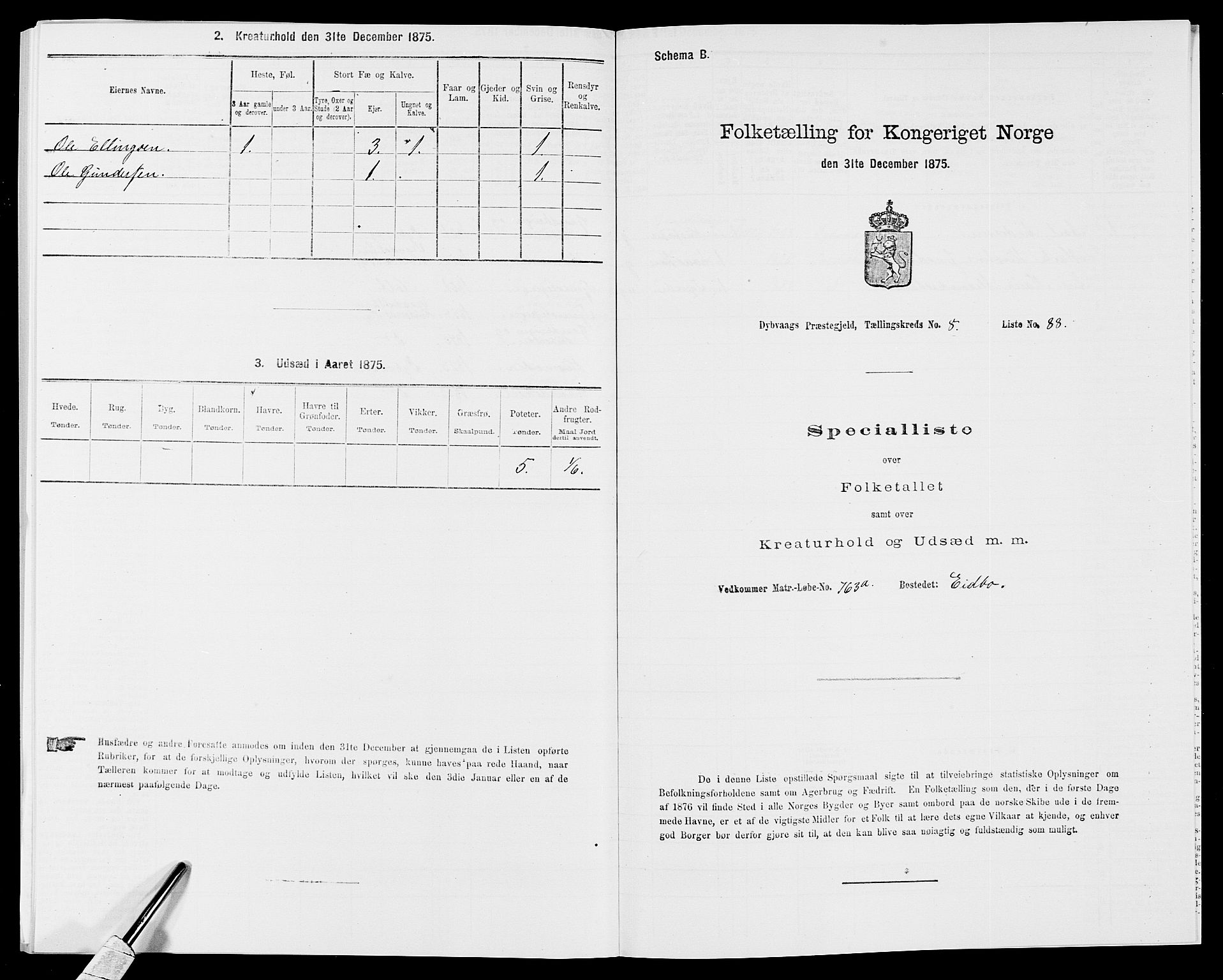 SAK, Folketelling 1875 for 0915P Dypvåg prestegjeld, 1875, s. 1101