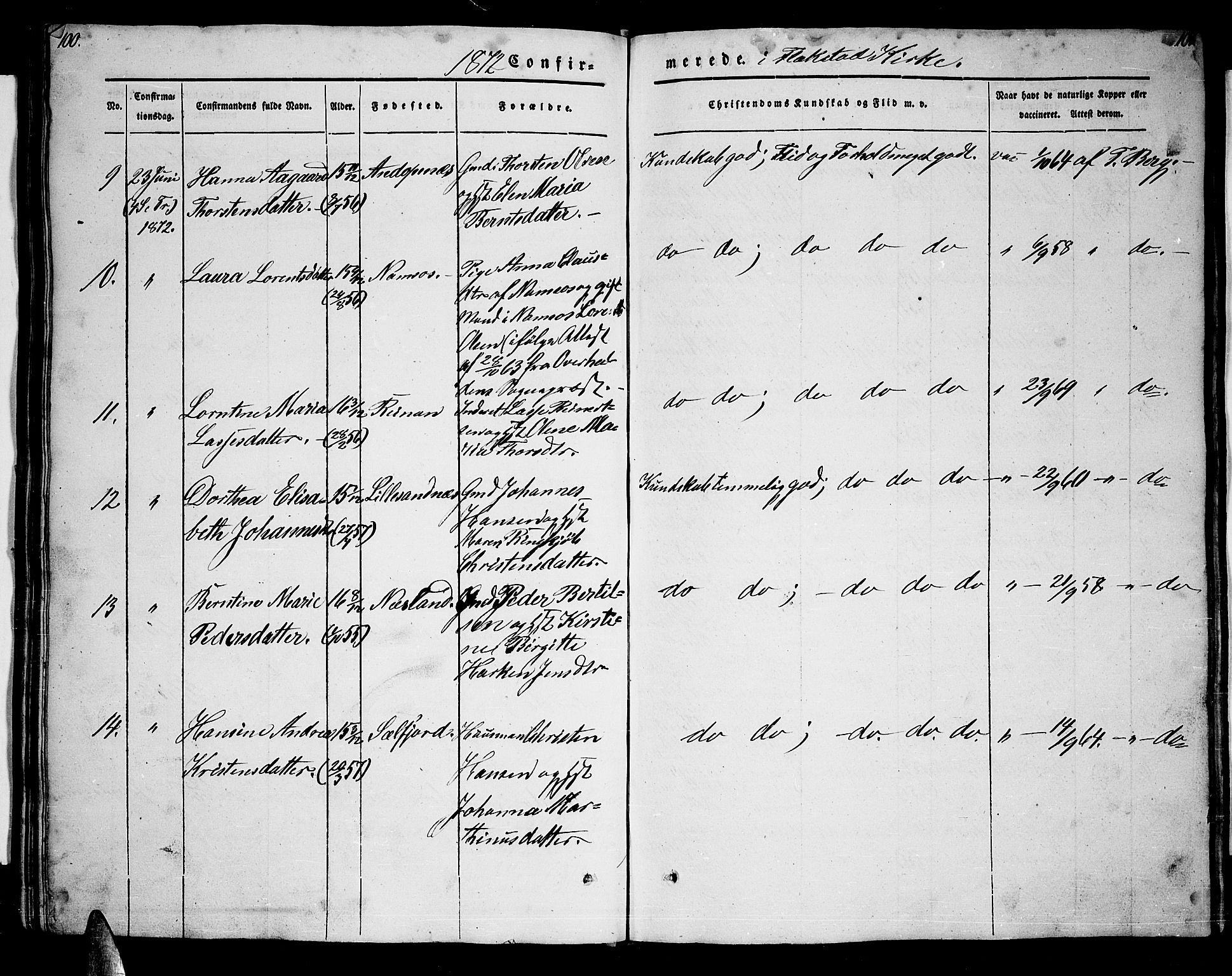 Ministerialprotokoller, klokkerbøker og fødselsregistre - Nordland, AV/SAT-A-1459/885/L1212: Klokkerbok nr. 885C01, 1847-1873, s. 100-101