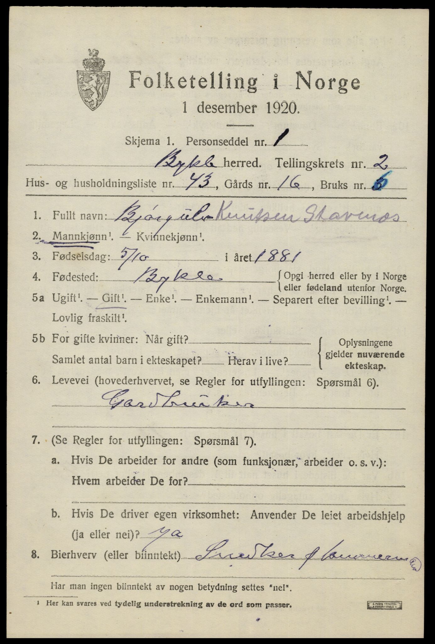 SAK, Folketelling 1920 for 0941 Bykle herred, 1920, s. 1003