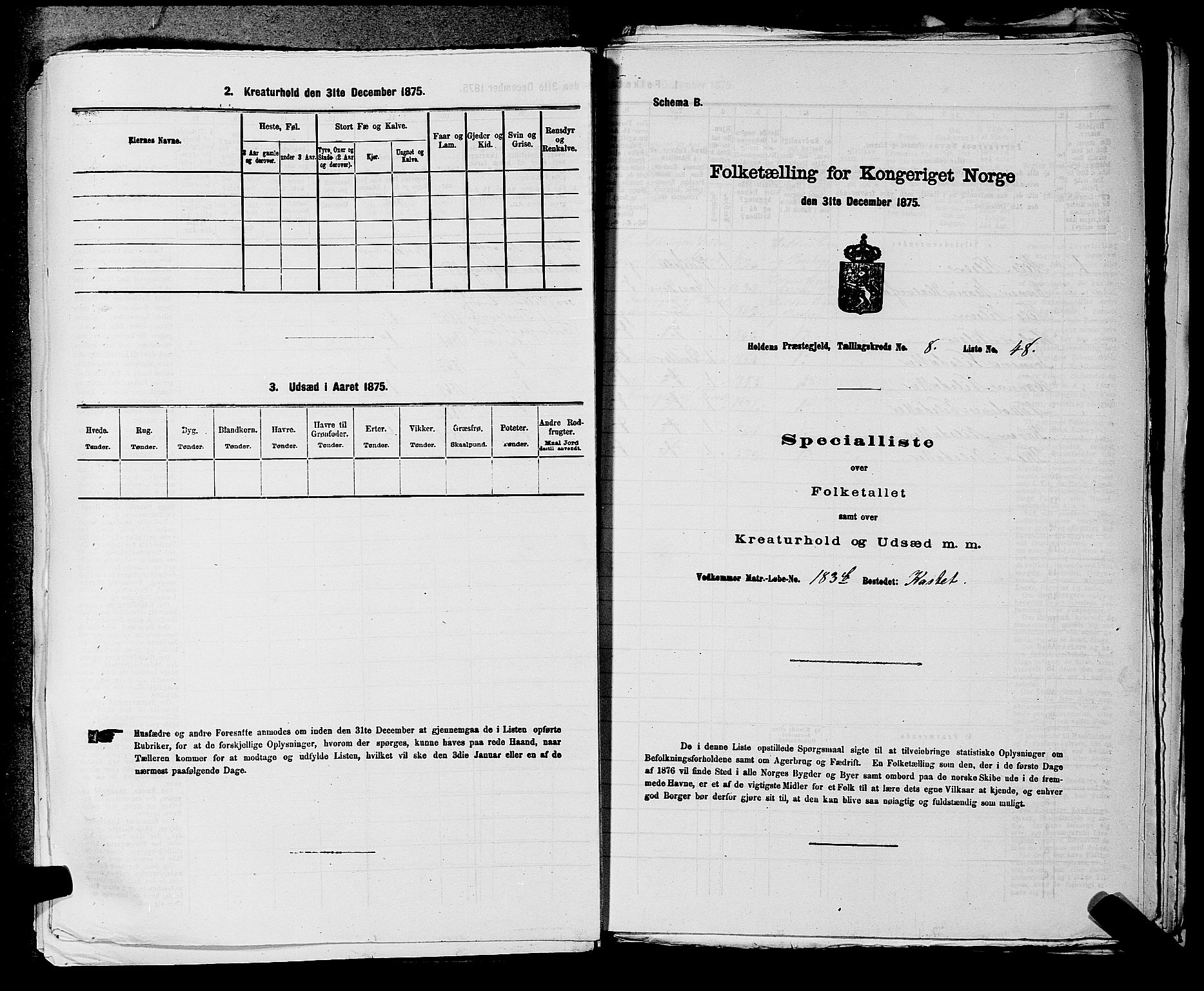 SAKO, Folketelling 1875 for 0819P Holla prestegjeld, 1875, s. 1060