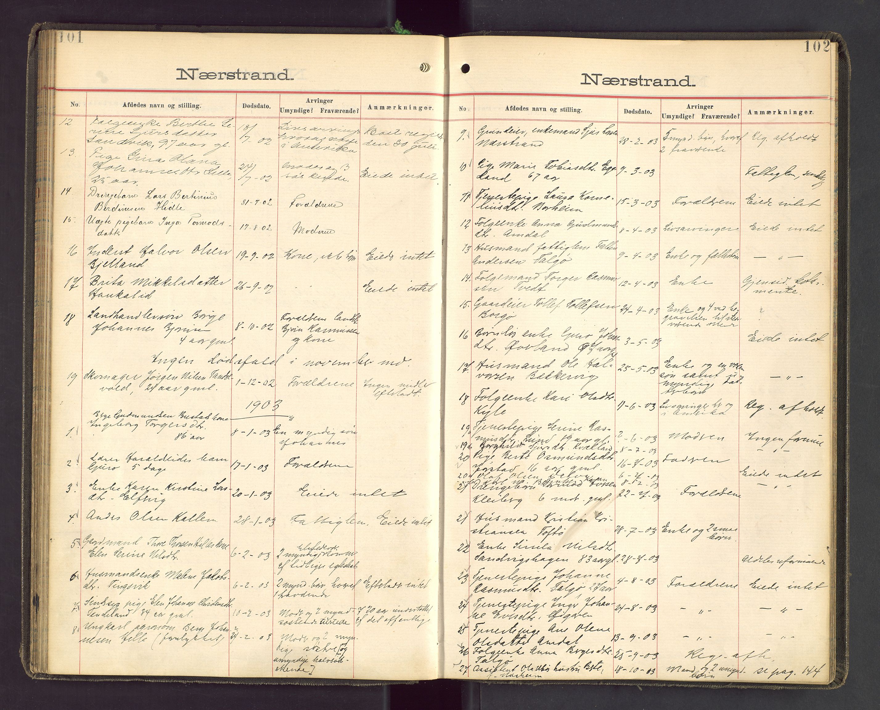 Ryfylke tingrett, AV/SAST-A-100055/001/IV/IVA/L0001b: Dødsfallsprotokoll, 1893-1903, s. 101-102