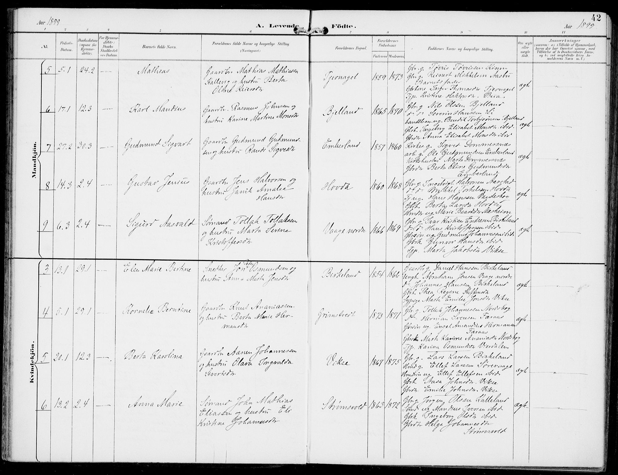 Sveio Sokneprestembete, AV/SAB-A-78501/H/Haa: Ministerialbok nr. B  3, 1894-1906, s. 42