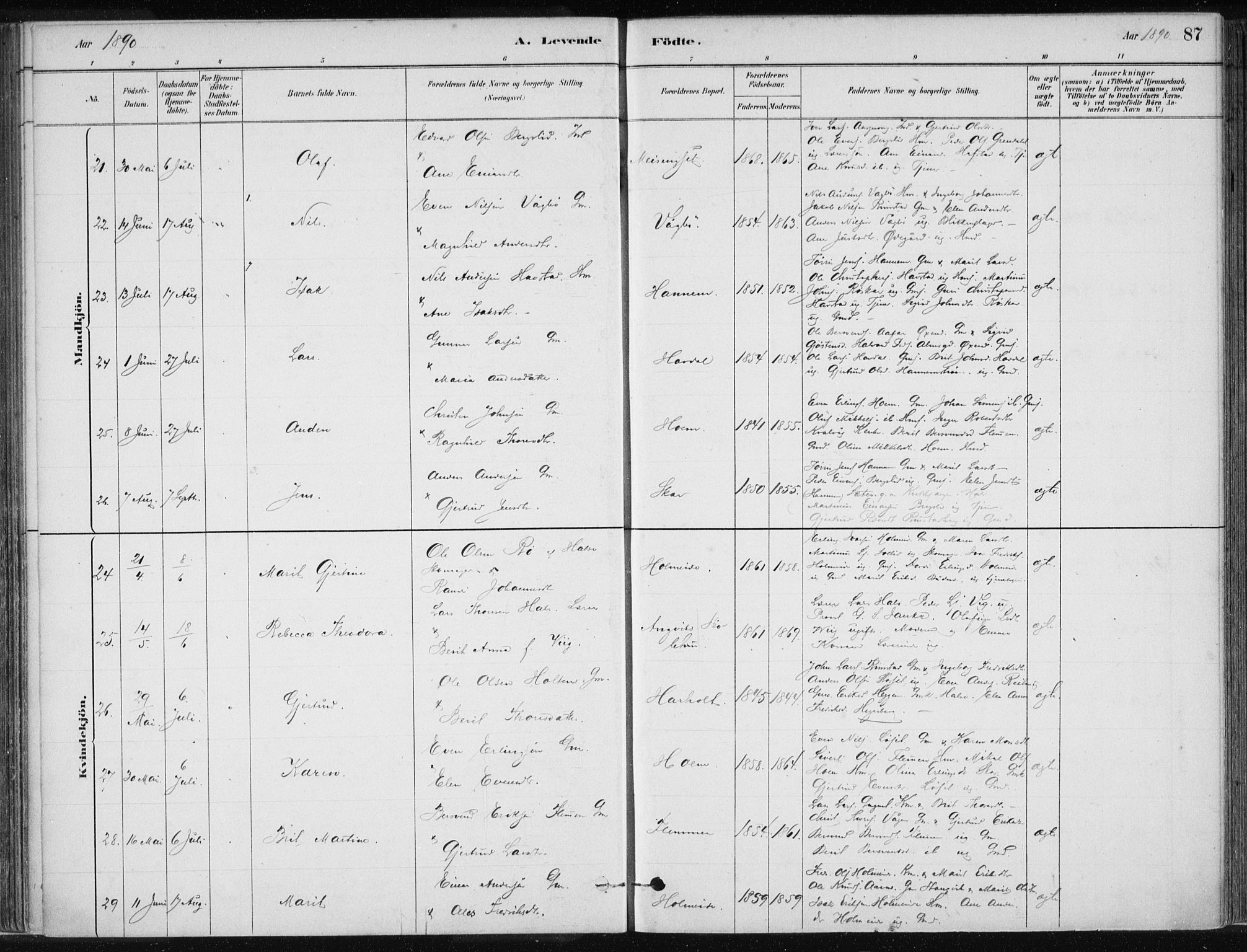 Ministerialprotokoller, klokkerbøker og fødselsregistre - Møre og Romsdal, AV/SAT-A-1454/586/L0987: Ministerialbok nr. 586A13, 1879-1892, s. 87