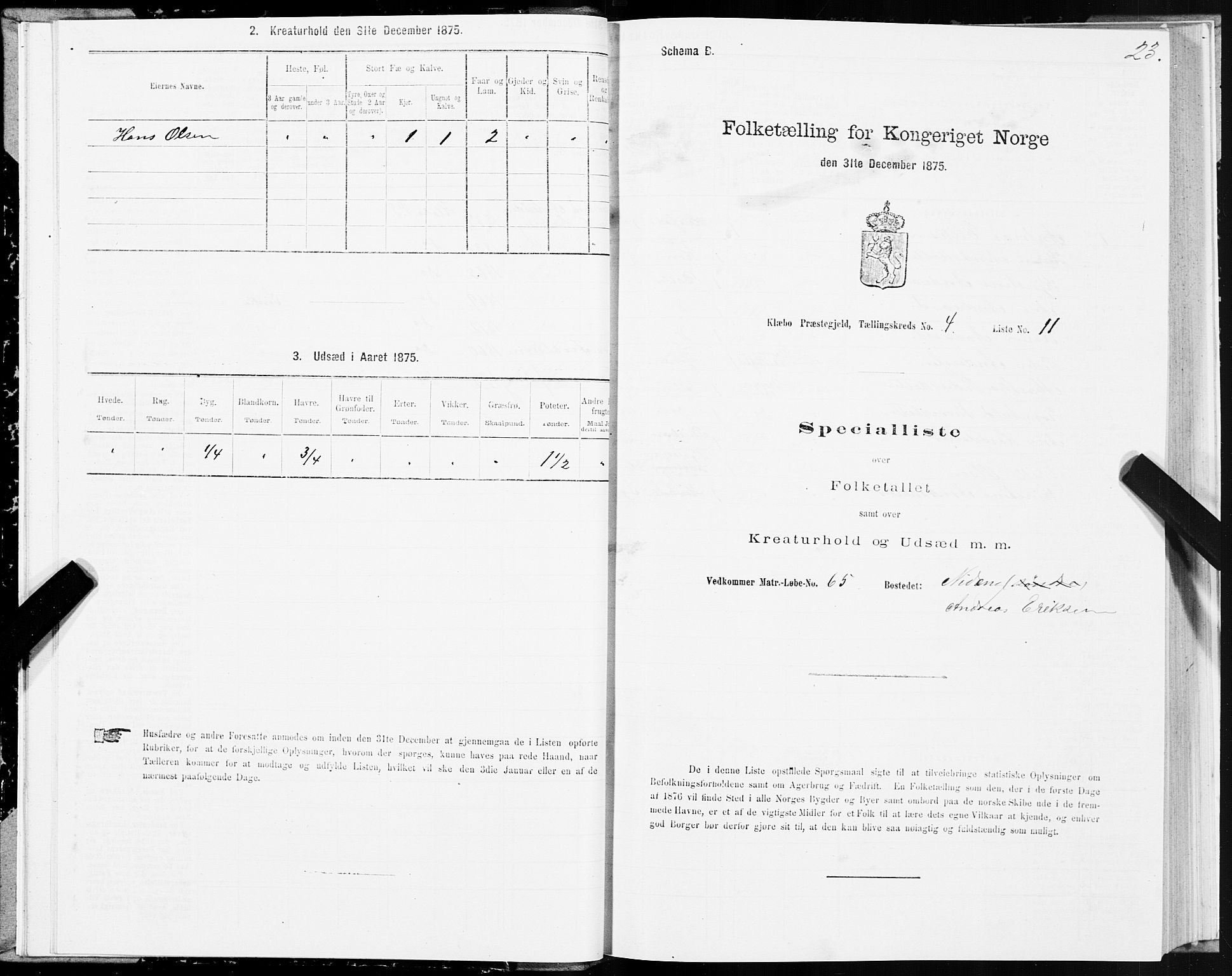 SAT, Folketelling 1875 for 1662P Klæbu prestegjeld, 1875, s. 2023