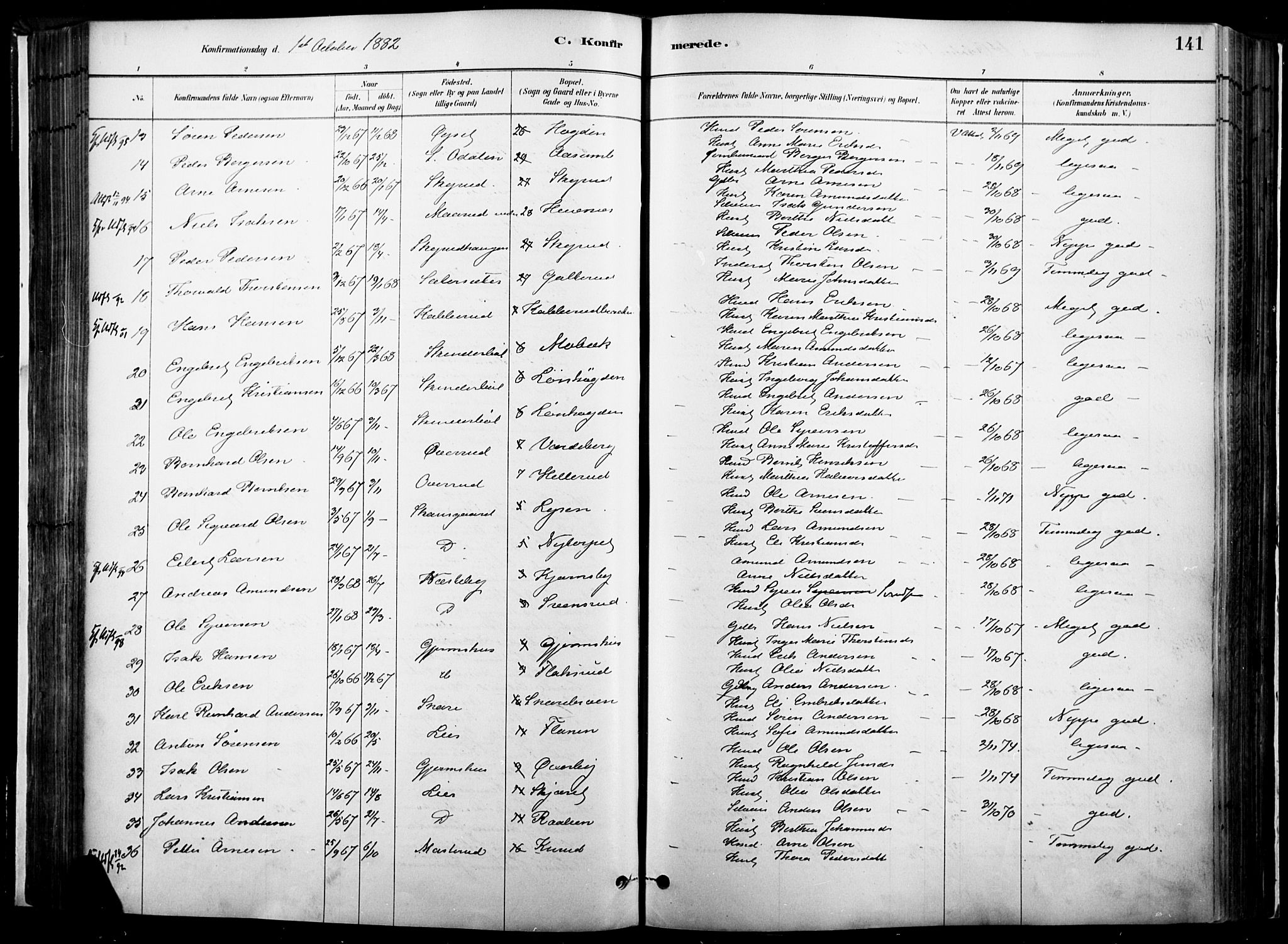 Vinger prestekontor, AV/SAH-PREST-024/H/Ha/Haa/L0014: Ministerialbok nr. 14, 1881-1900, s. 141