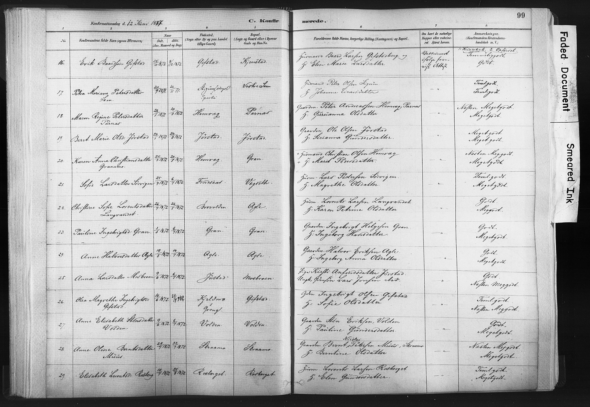 Ministerialprotokoller, klokkerbøker og fødselsregistre - Nord-Trøndelag, AV/SAT-A-1458/749/L0474: Ministerialbok nr. 749A08, 1887-1903, s. 99